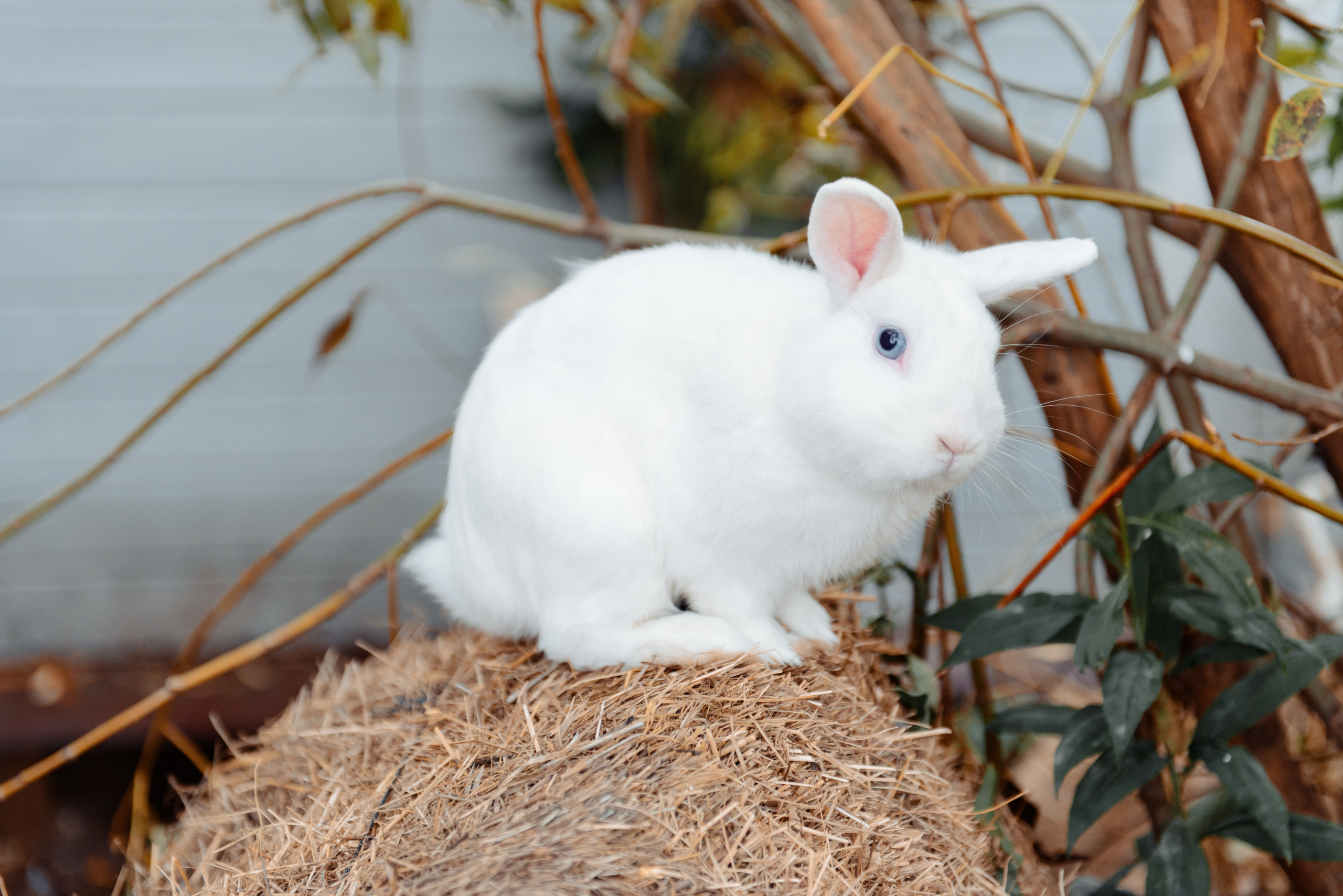 Любовь в каждом глотке. Фотограф в Москве Оля Жарких