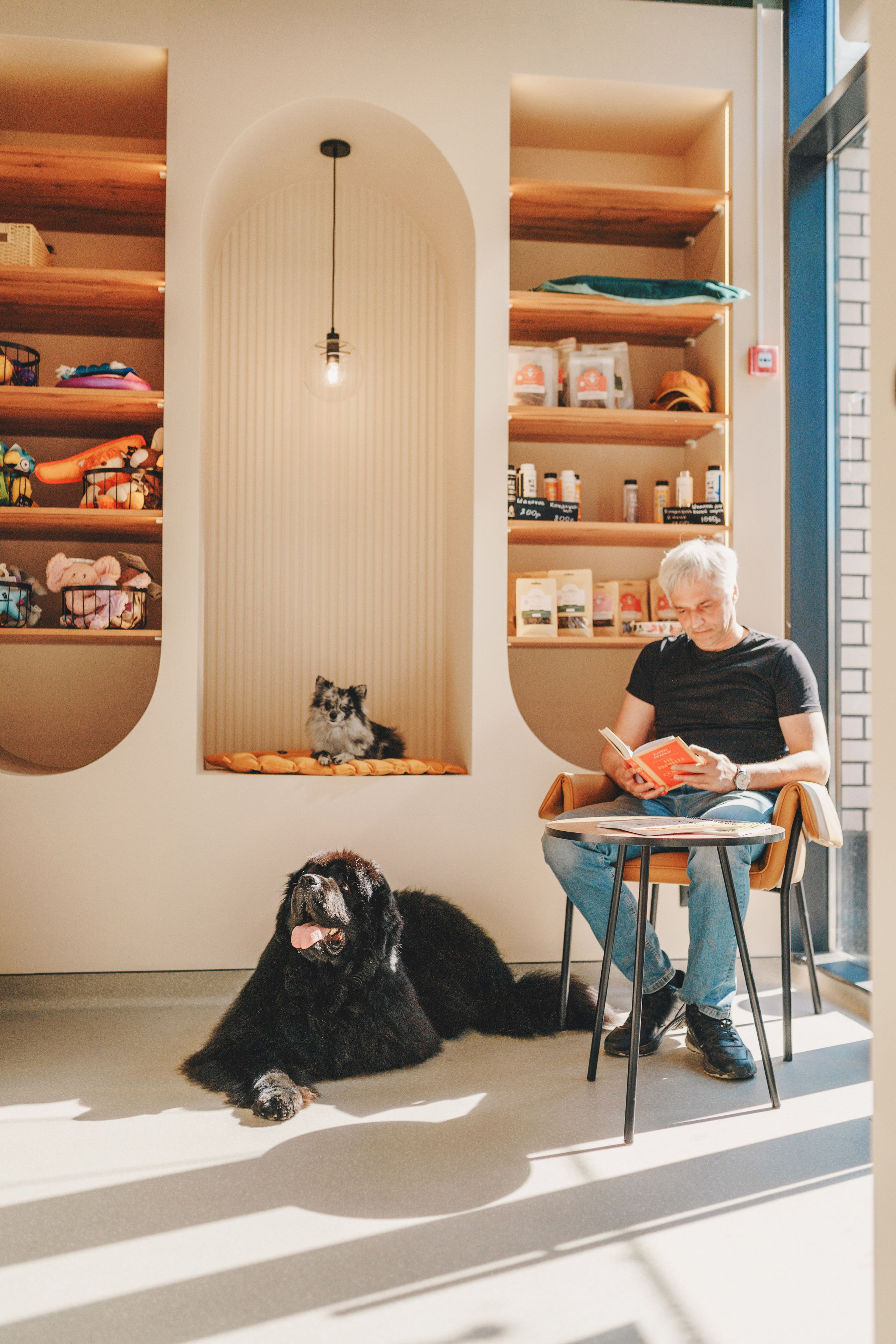 Груминг-салон. Фотограф анималист Осипчикова Мария