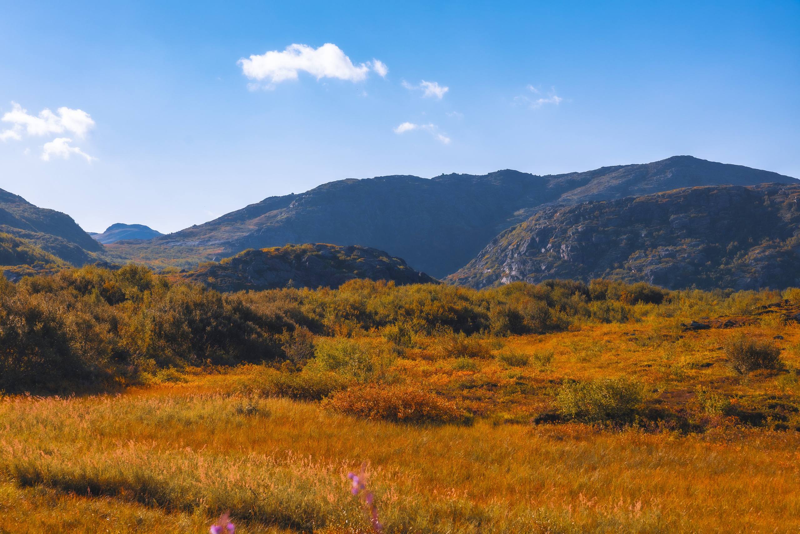 Teriberka Russian North Part Ⅲ. Photographer in Moscow Ira Beinar