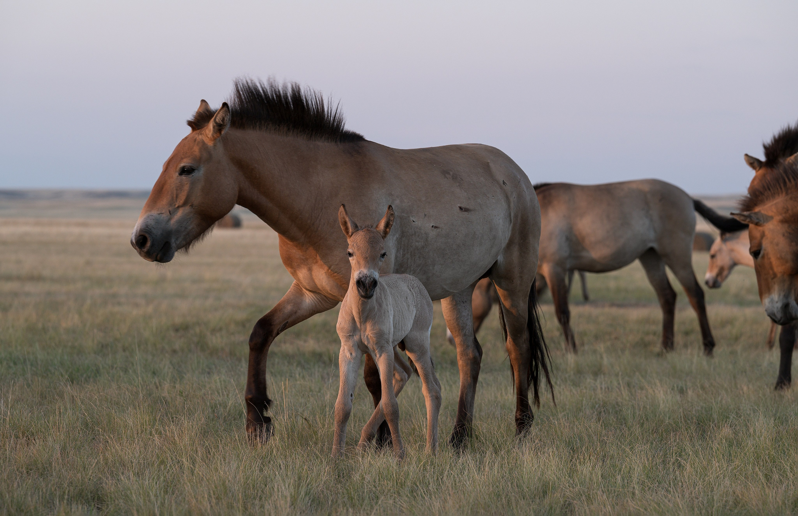 В природе. Портретный фотограф в Челябинске Катерина Руди