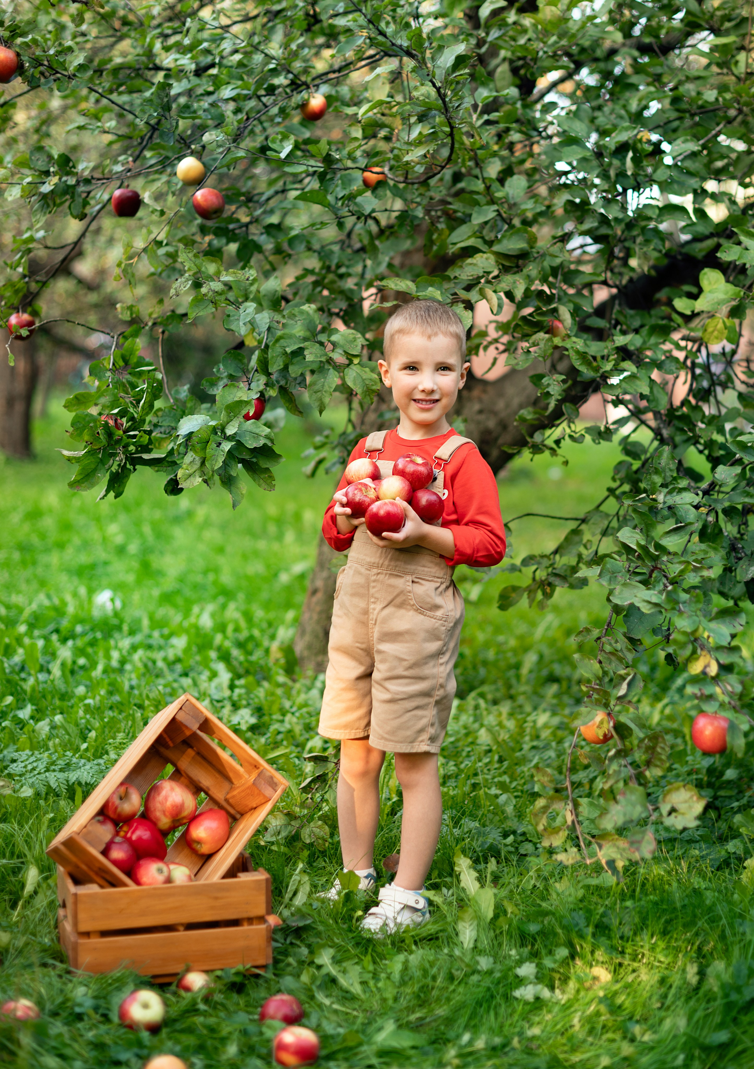 Яблоки. Детский и семейный фотограф г. Москва Оксана Катаджи