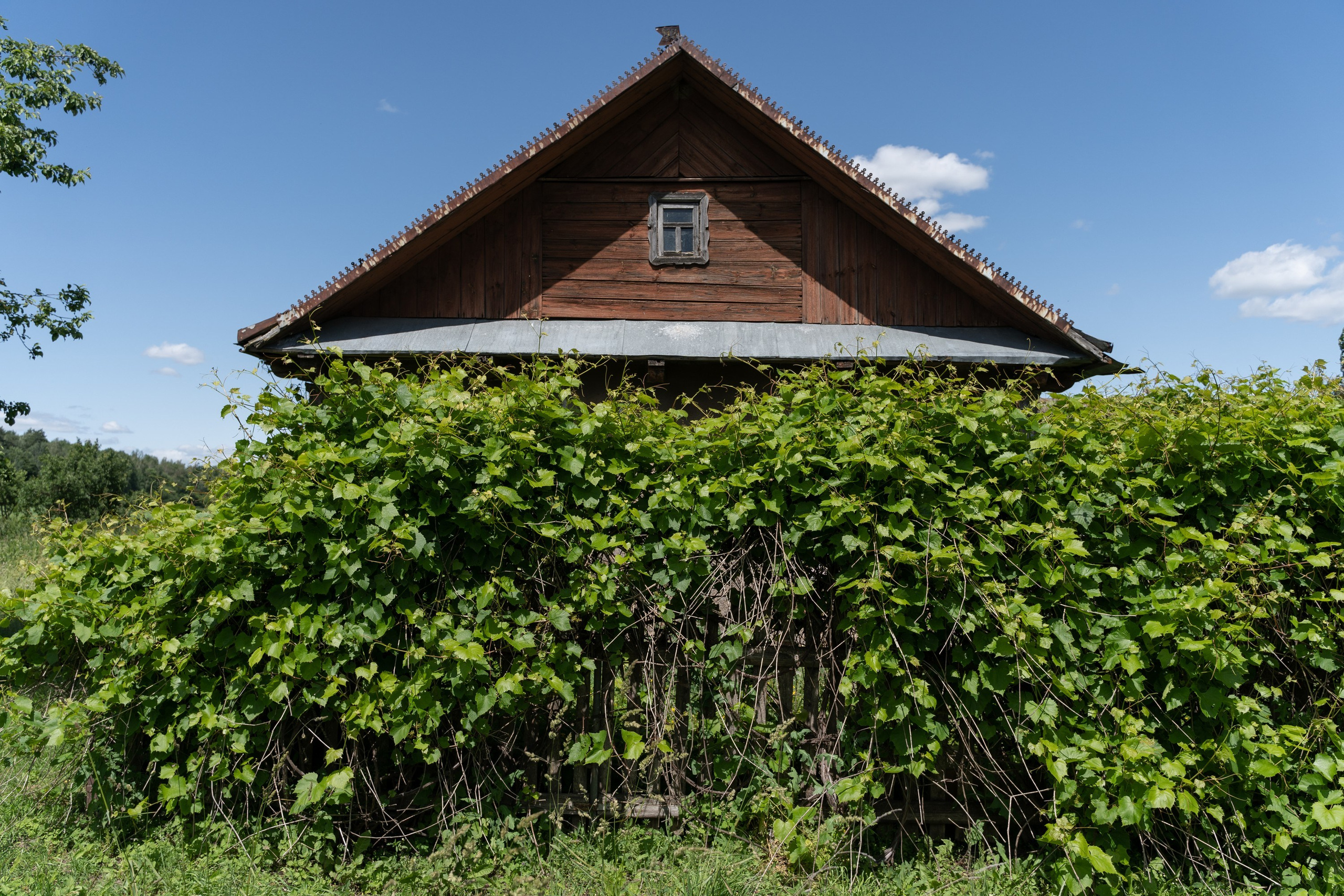 Home.land. Künstler Verstecktoff