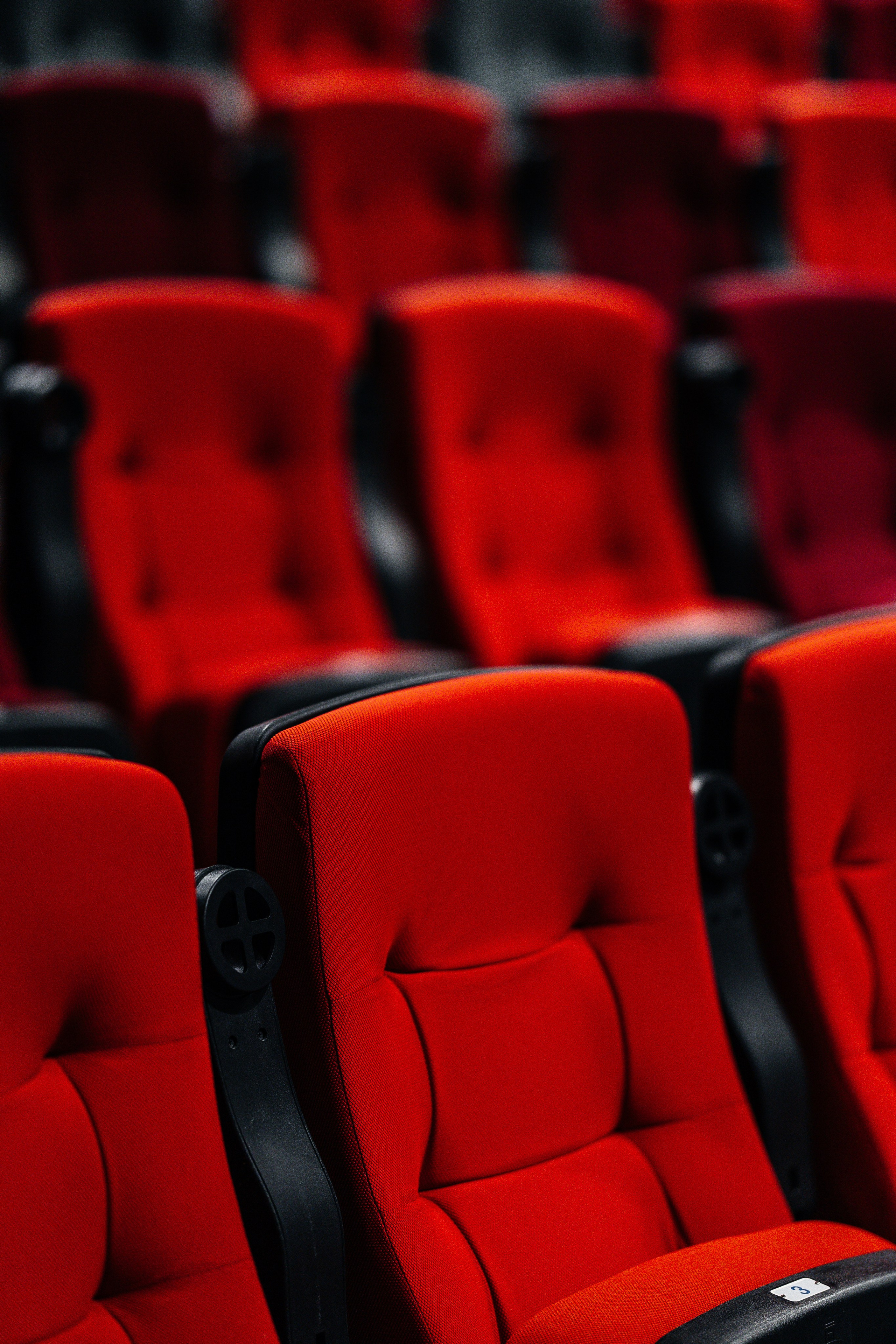 Кинотеатр Другар. Самый свадебный фотограф