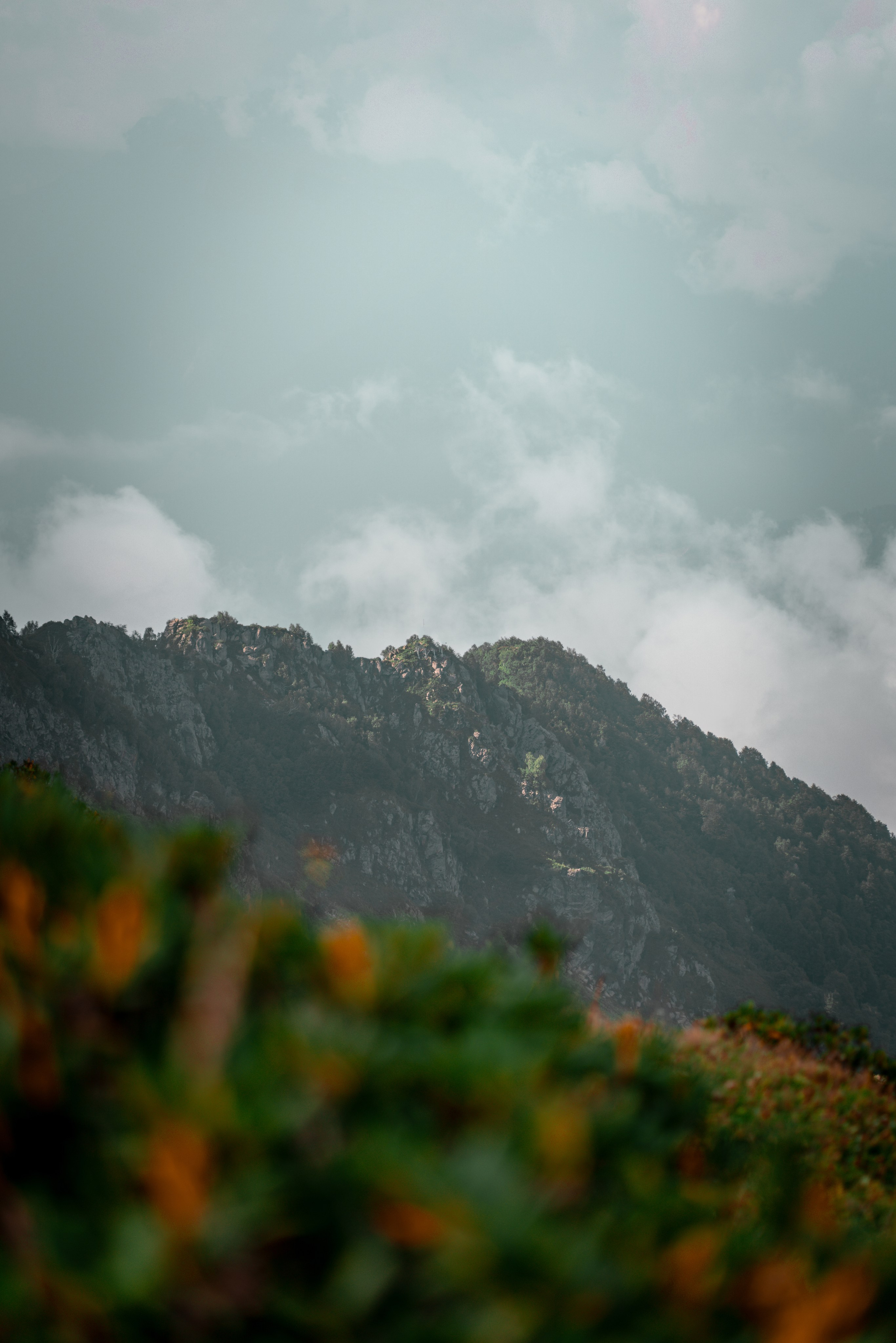 Сочи. Фотограф Александра Волкова | Волгоград