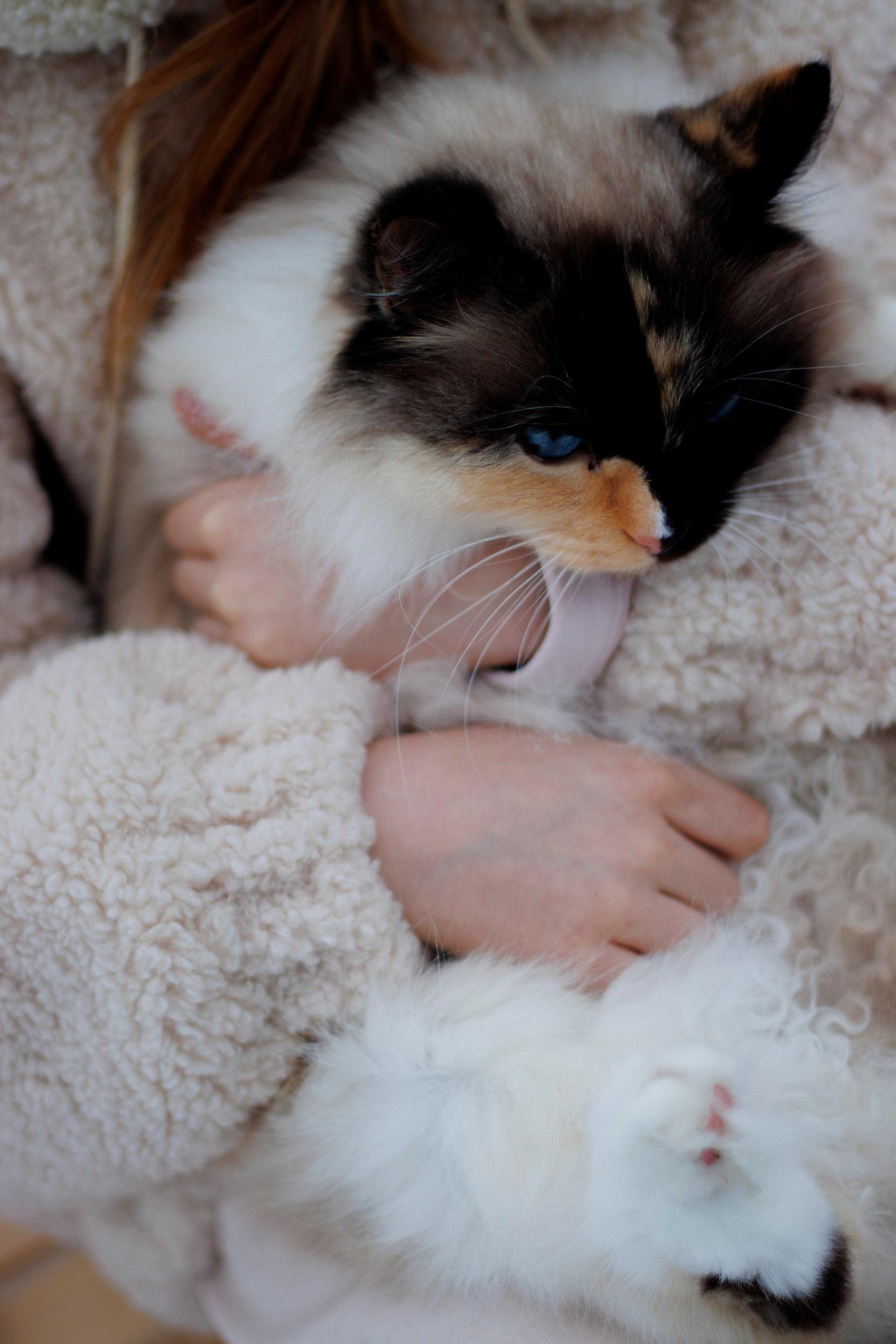 Детская съёмка. Семейный и детский фотограф в Туле