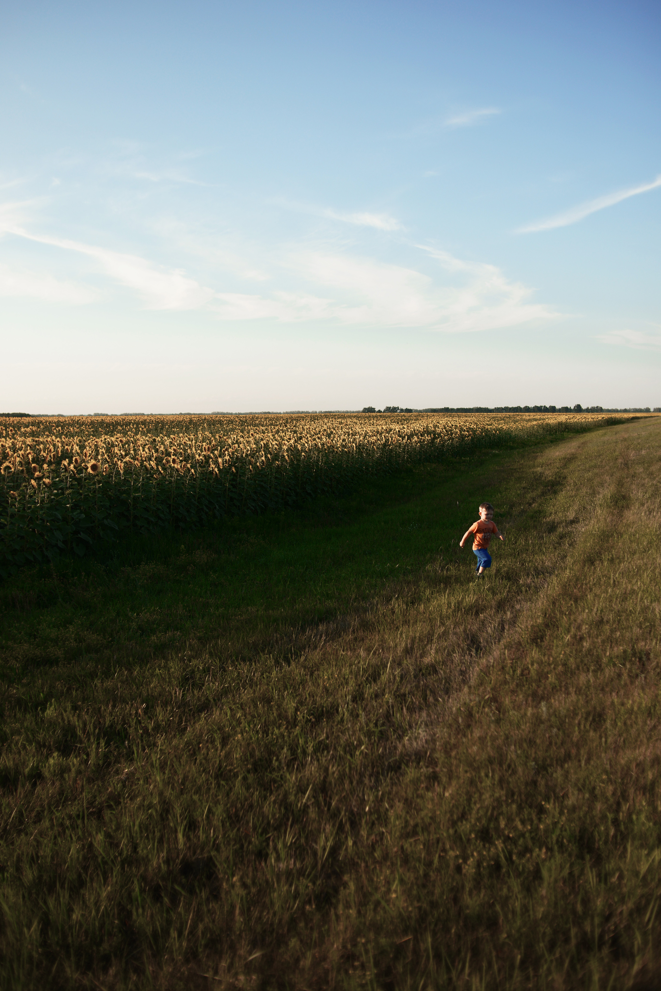 Снимаем на прогулке, в кофейне, в лесу и т. д. Семейный и детский фотограф Татьяна Кытманова