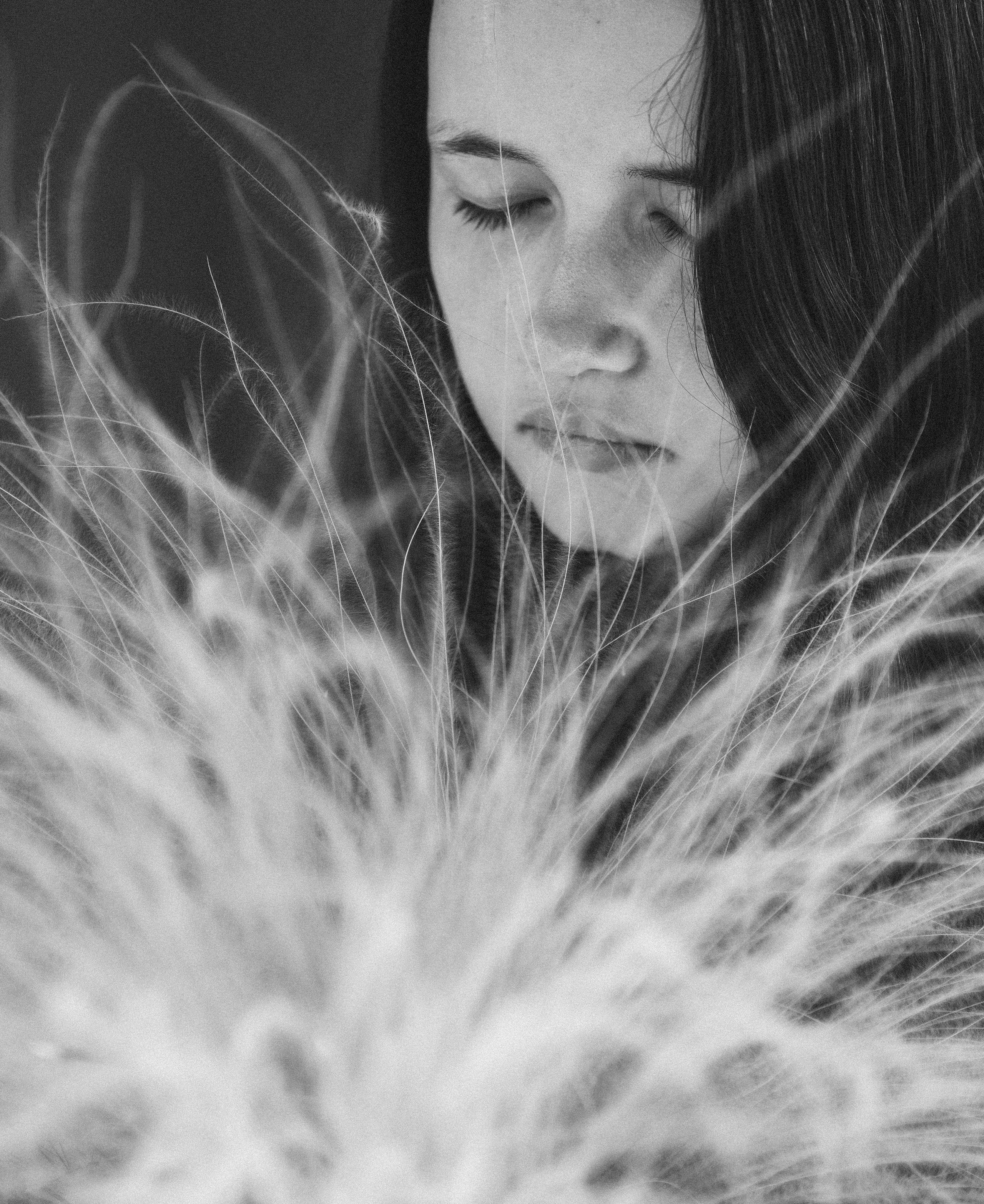 …история о цветочных принцессах. Марковы: фото, видео, кино и книги