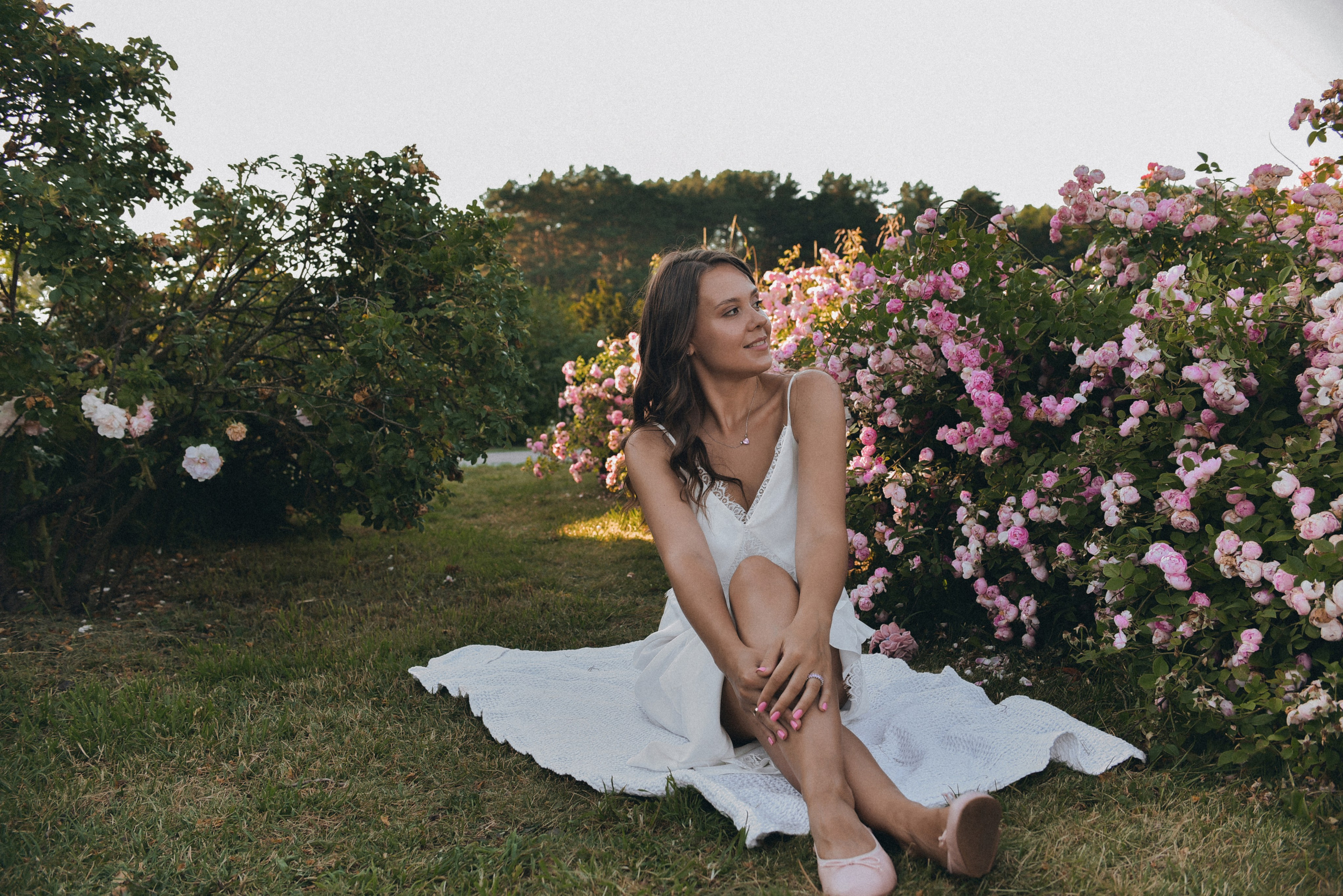 Розовая роща. Семейный фотограф Milena feel it