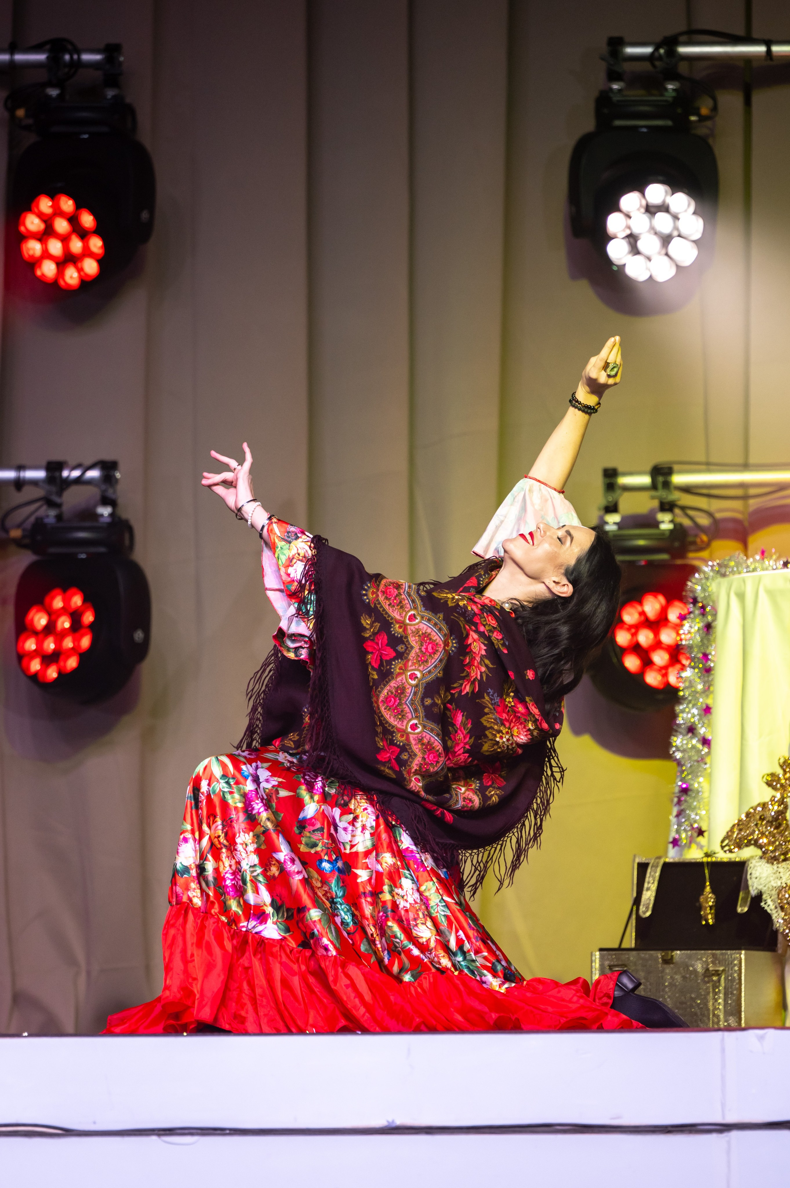 SL Новогодний отчетный концерт 2024/2025. Спортивный фотограф в Туле и Тульской области. Файсханова Фото Спорт