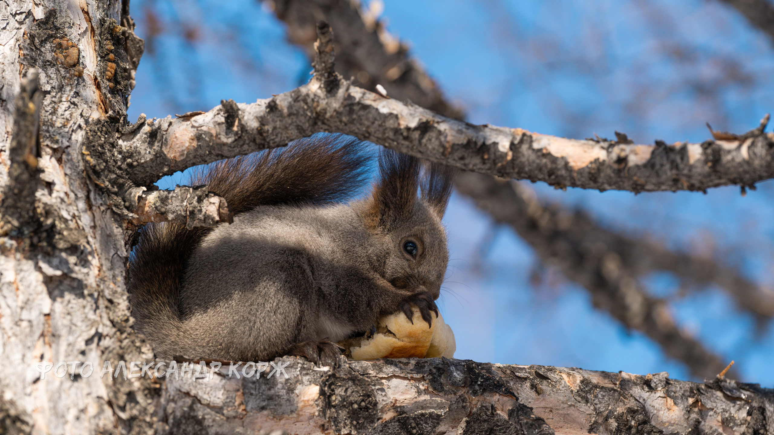 Северный поселок Айхал. Фотографии и видеосъемка, Айхал, Удачный, Якутия. Фотографии Айхал