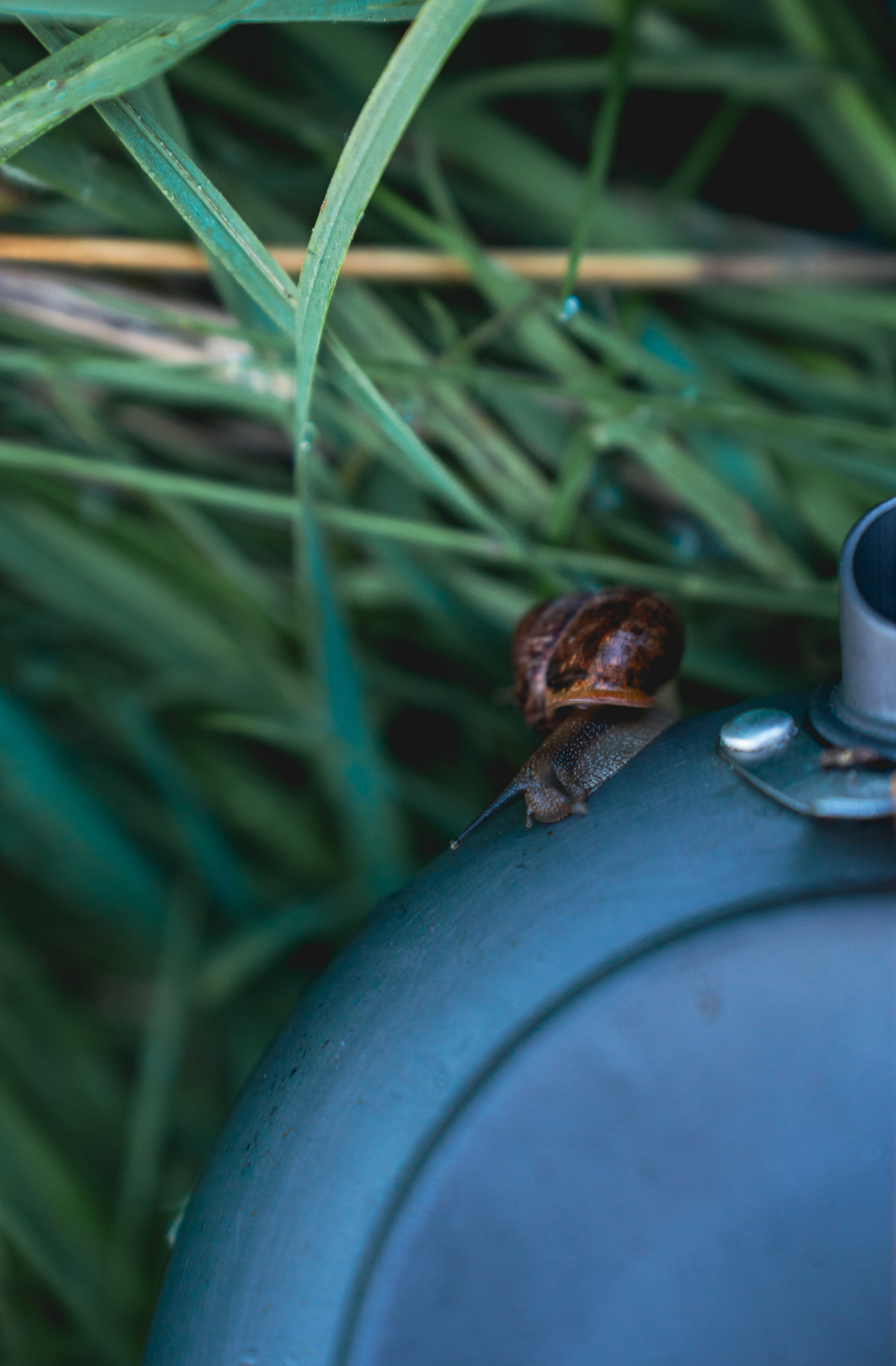 Встреча лета на озере Донцо. Предметный фотограф Санкт-Петербург