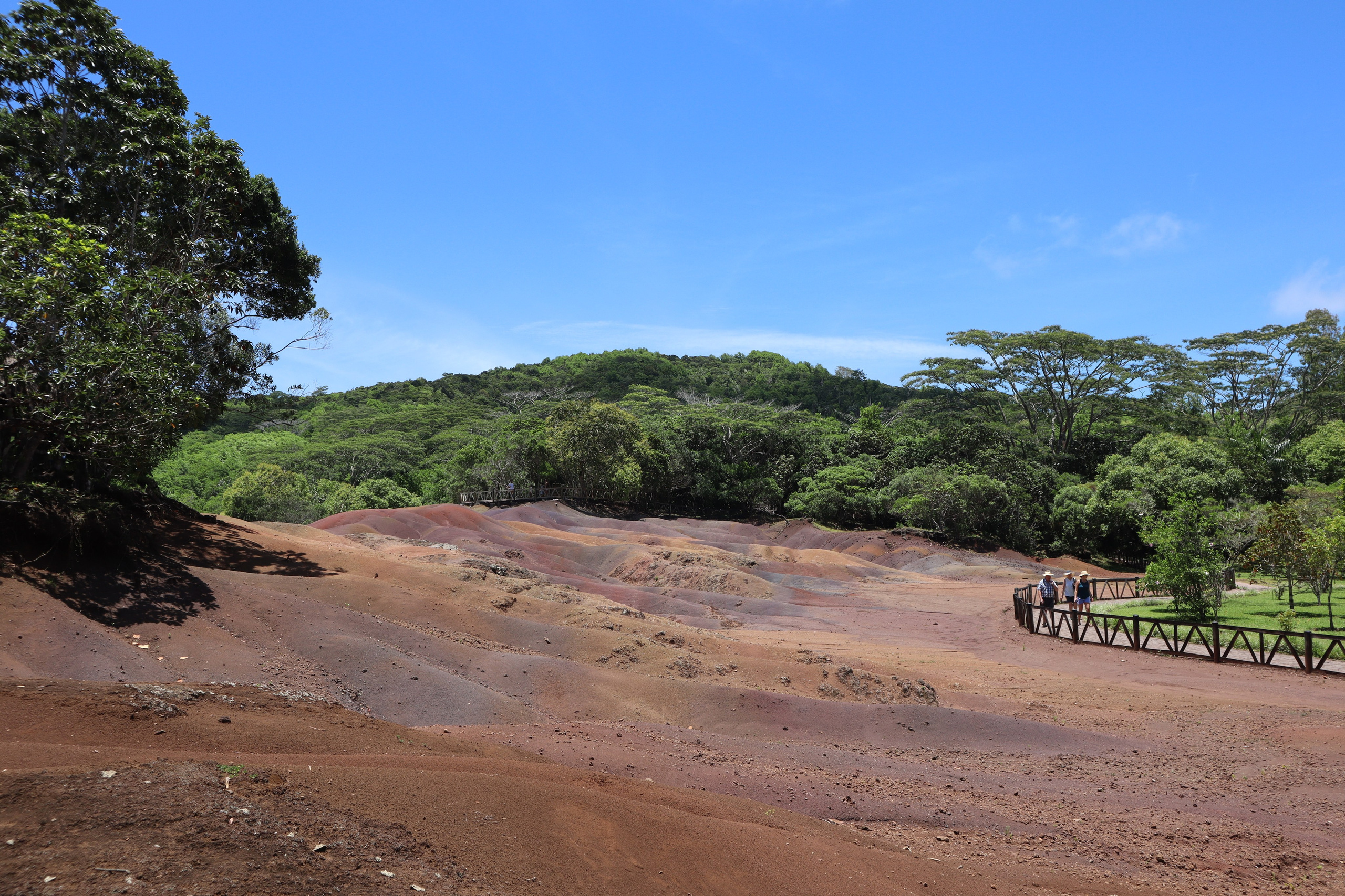 Путешествие на родину птицы додо. Travel photographer Ksenia