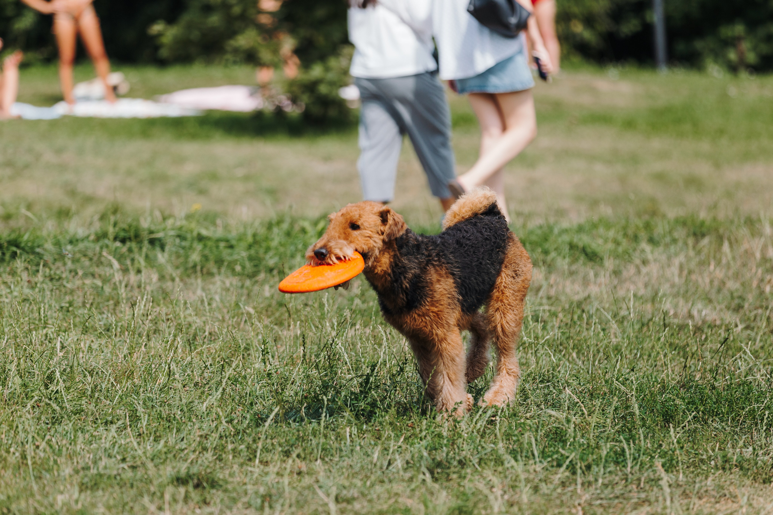Petshop Sup day. Фотограф анималист Кристина Карпова, Москва