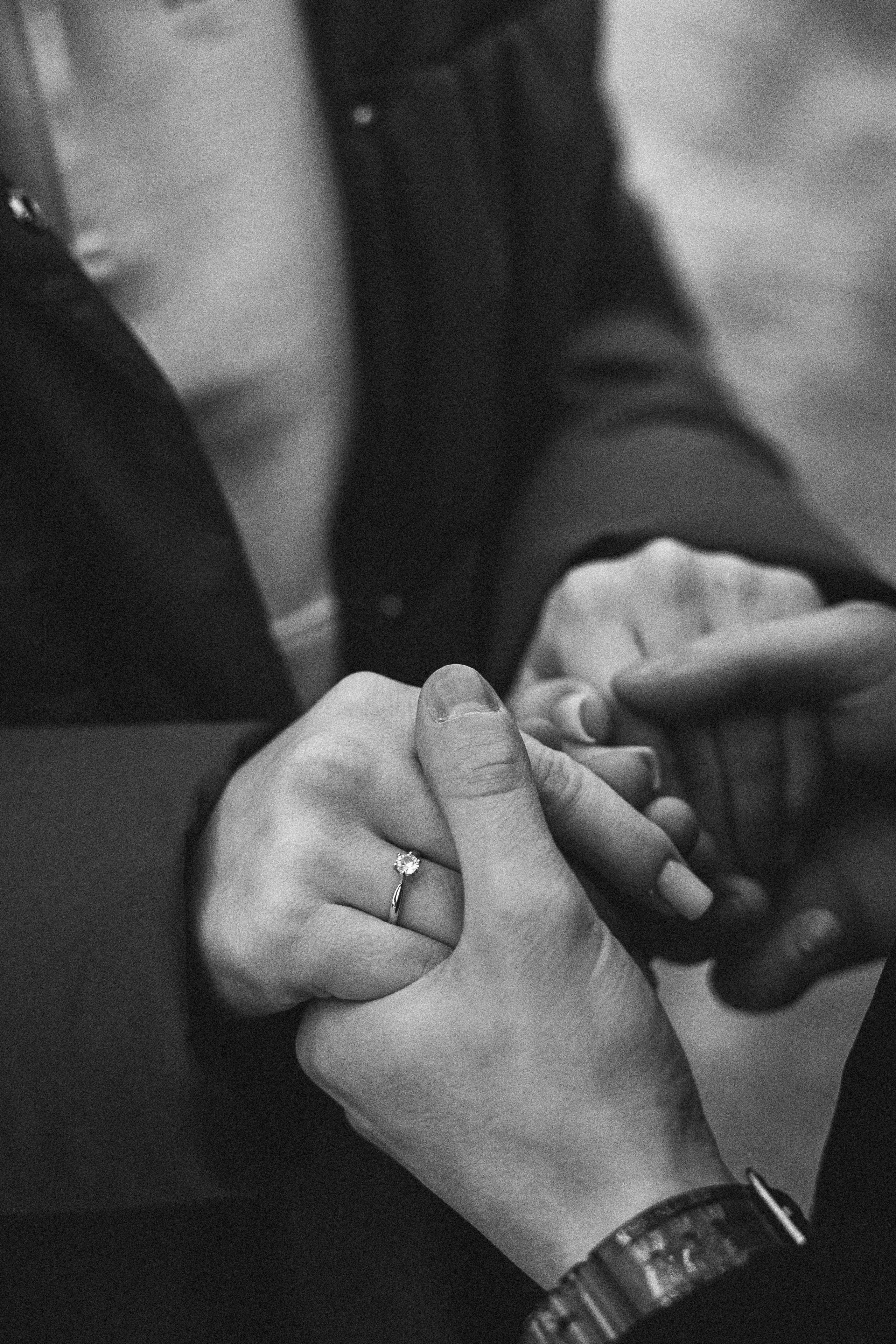 Предложение. Главная