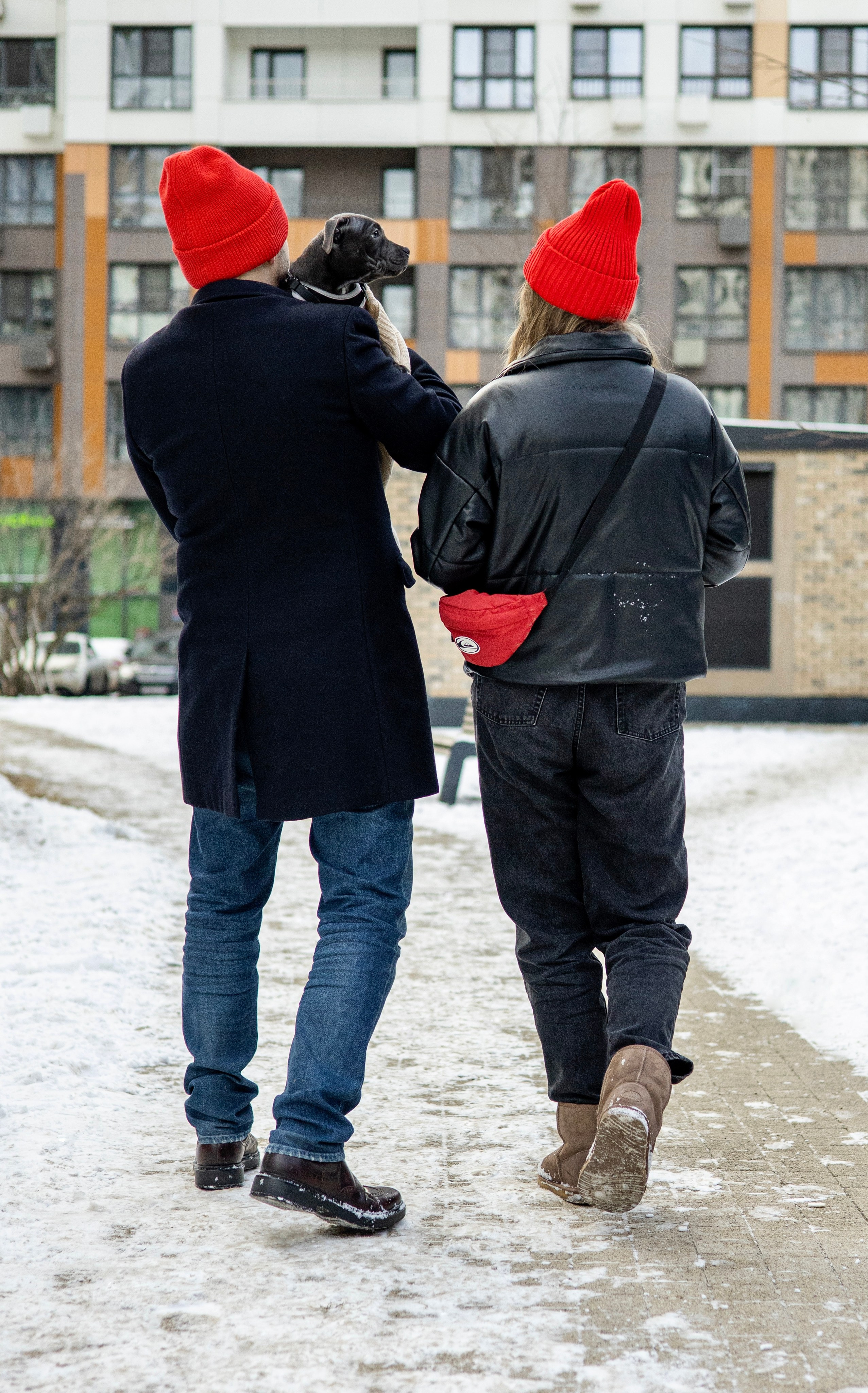 Дарси, Тимур и Юля. Фотограф-анималист Ксения Шевцова|Москва