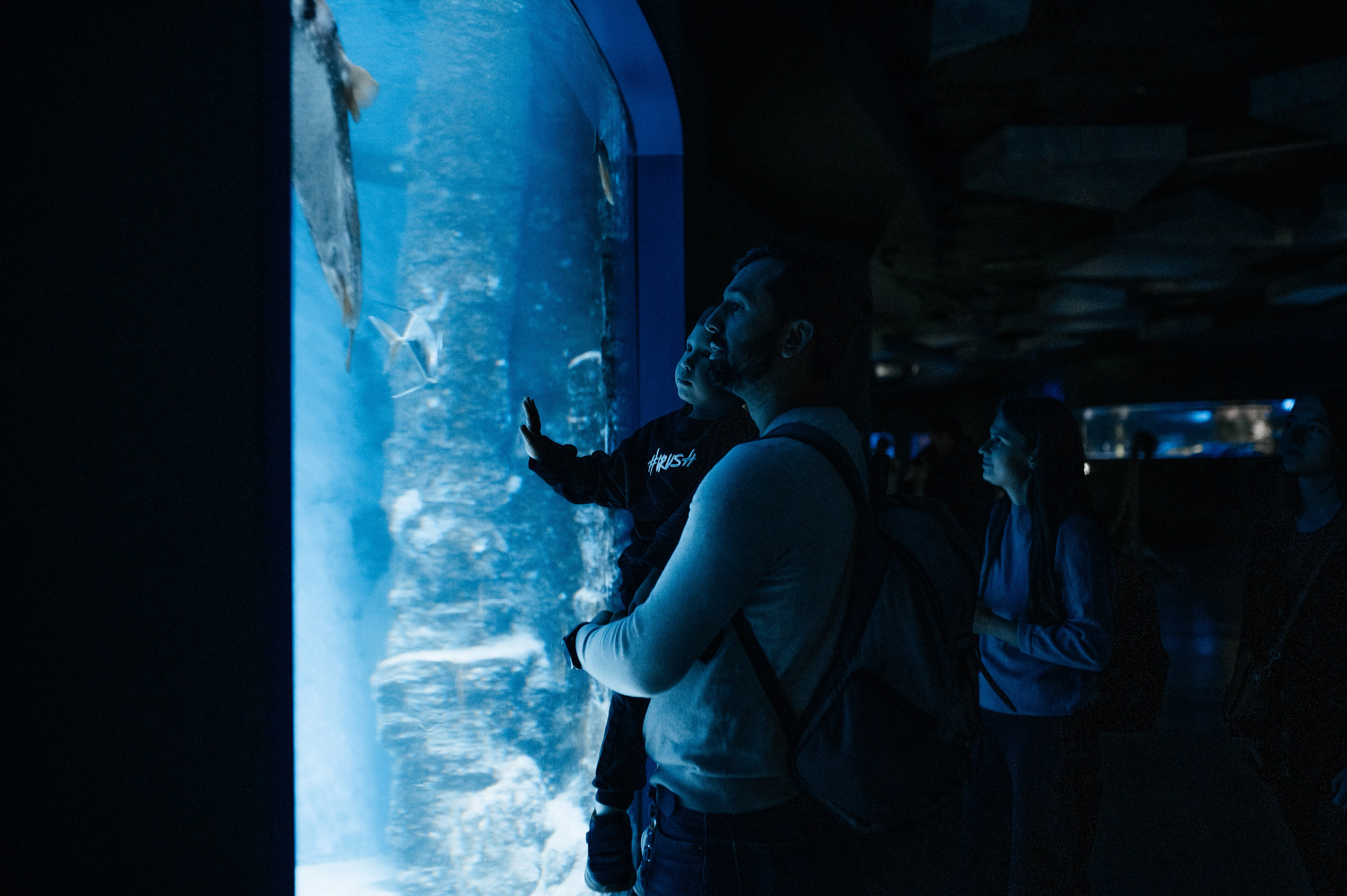 Маленький человек среди огромных рыб. Главная