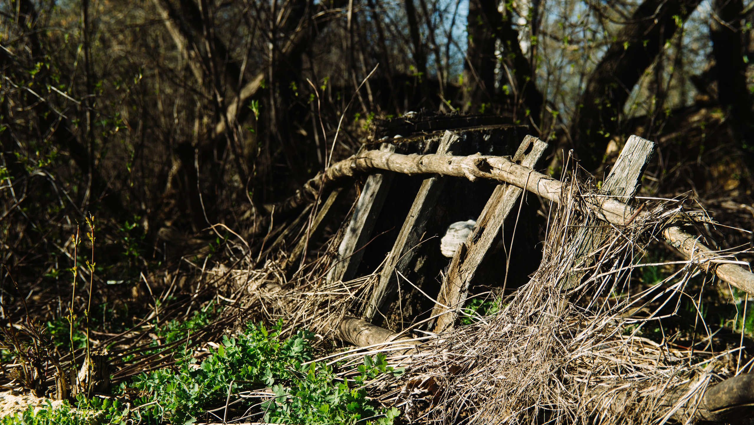 Орановка. Репортажный и портретный фотограф в Липецкой, Воронежской, Московской области Тёма Белоусов