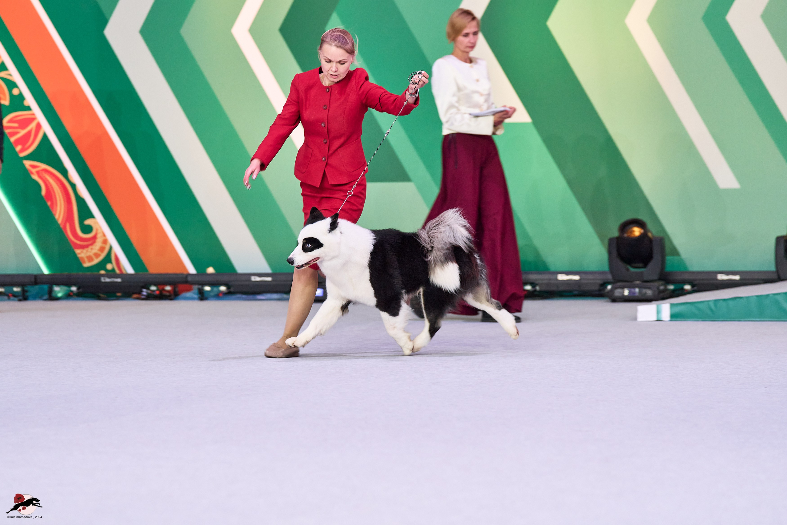 17.11.2024 «ЕВРАЗИЯ. КУБОК СНГ 2024»