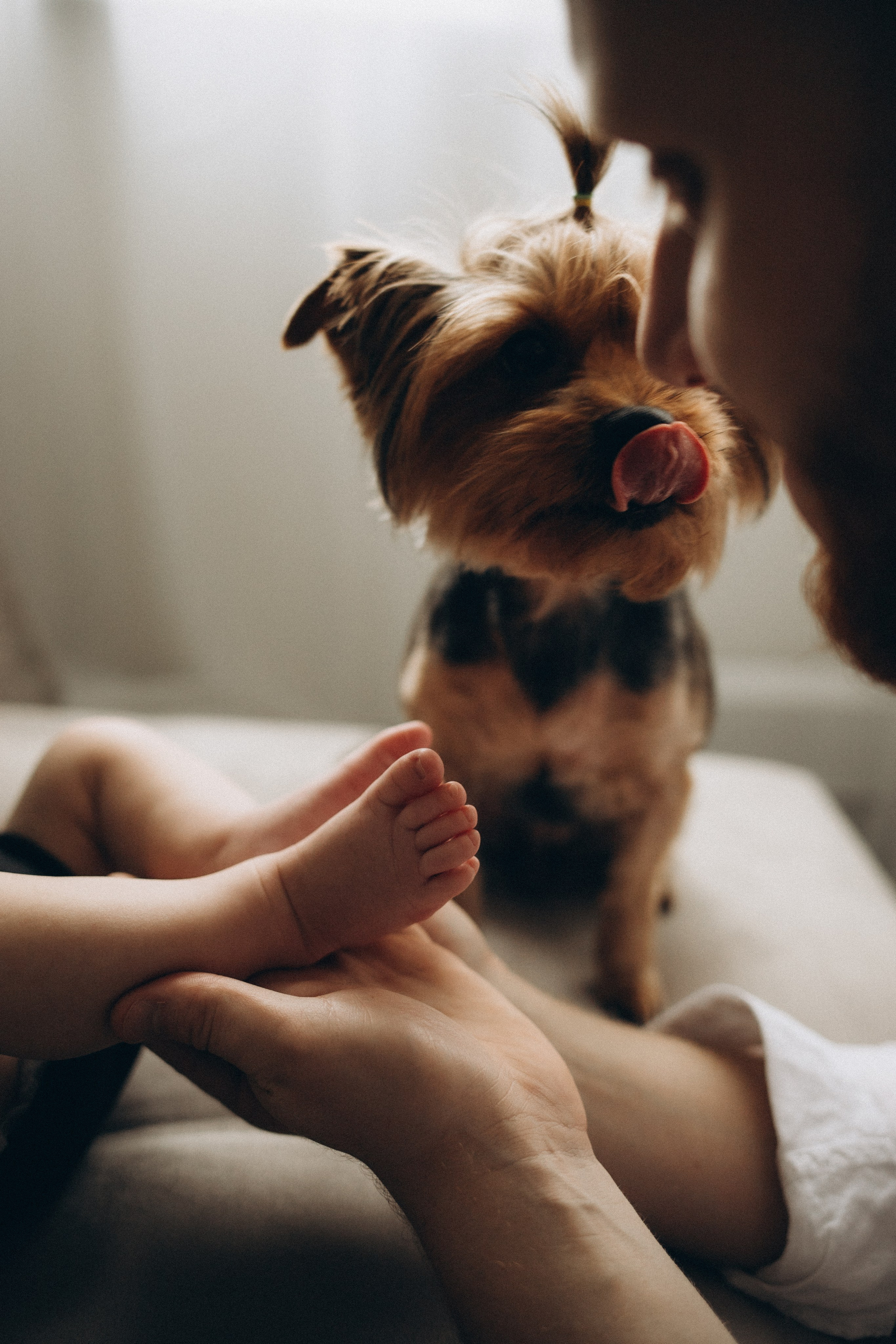 Кирилл, Лена и Матвей. Семейный и свадебный фотограф Анна Кожокарь