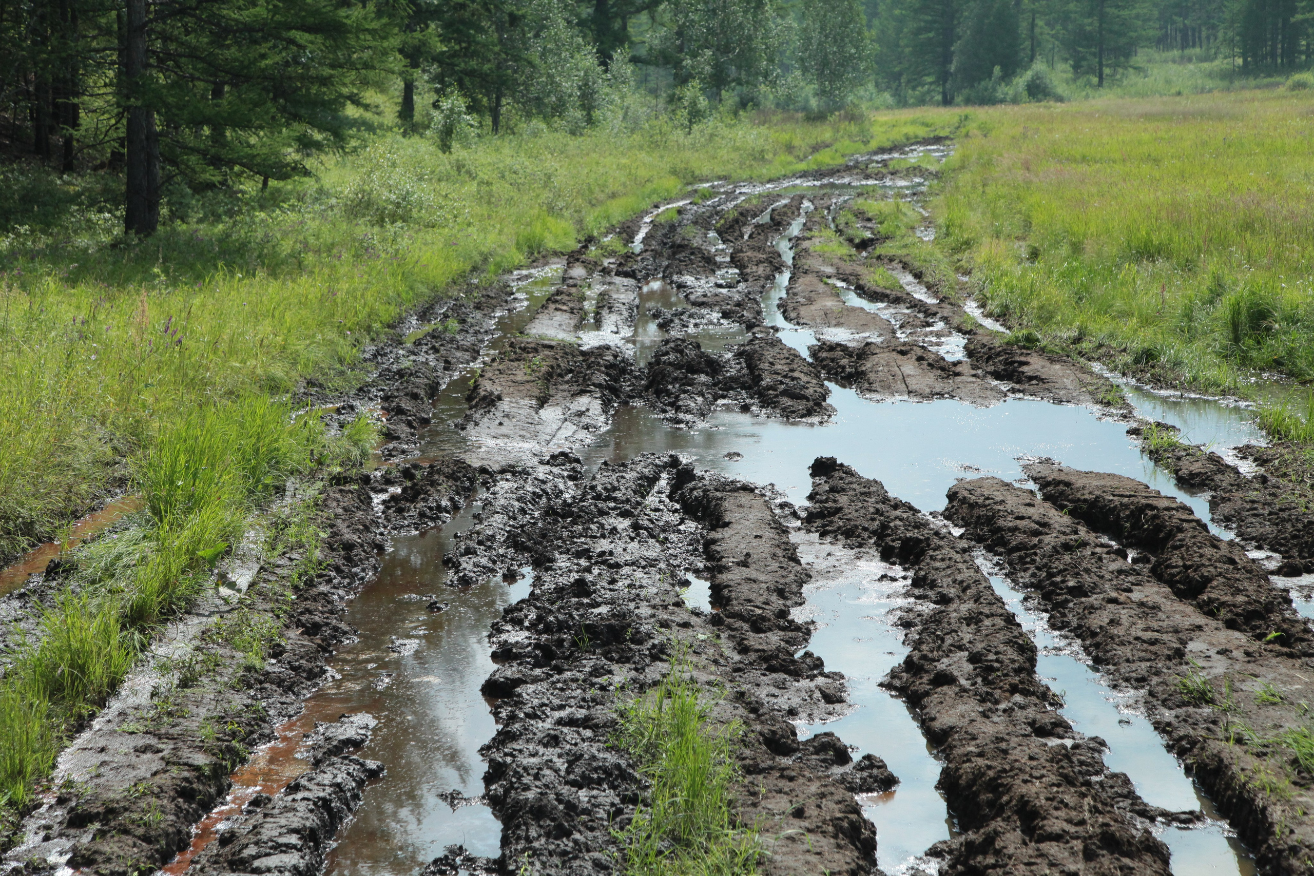 Фото Природы Забайкалья. Студия Максима Белослюдцева
