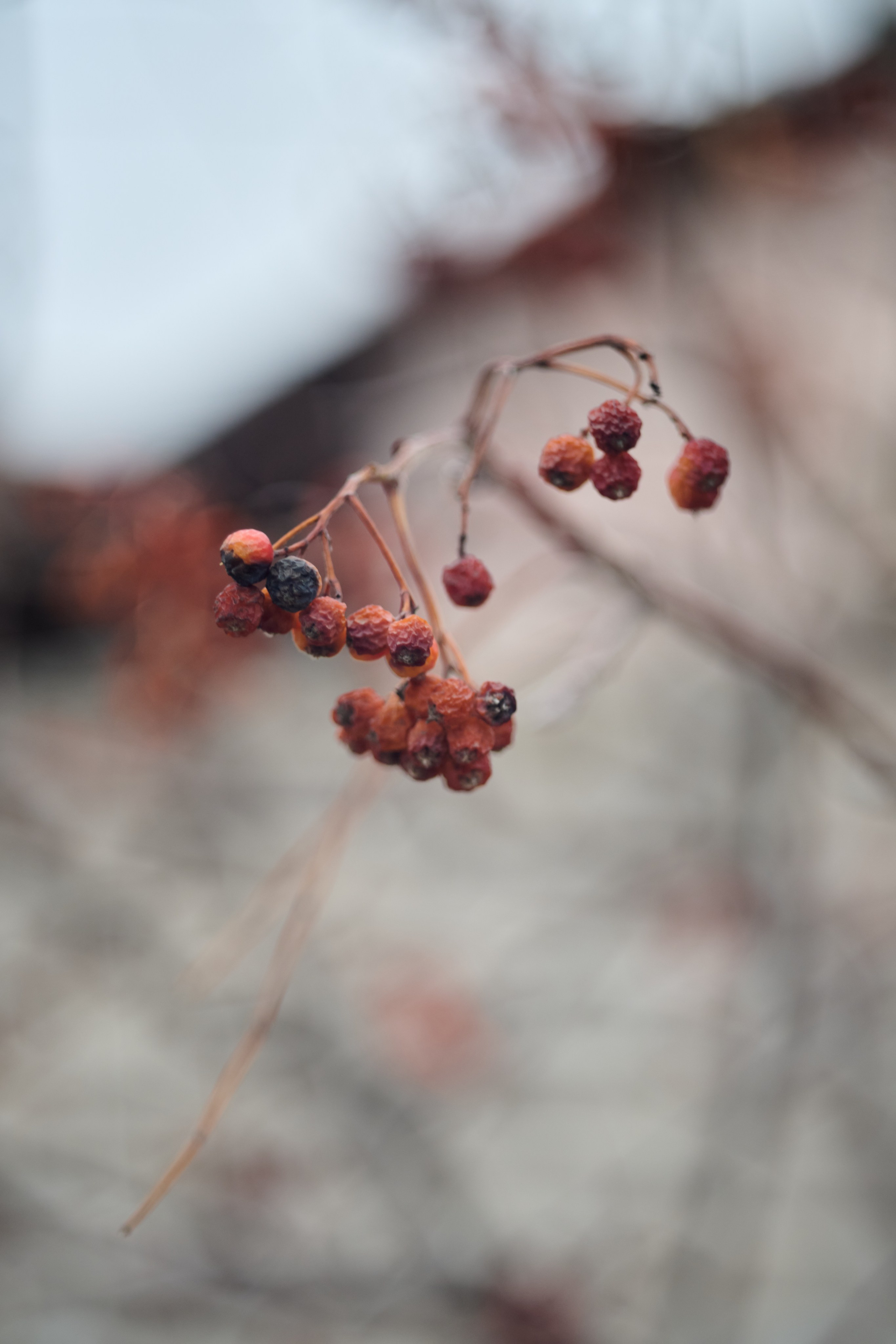 Лисичанск. Луганская область. Фотопроект «Территории»
