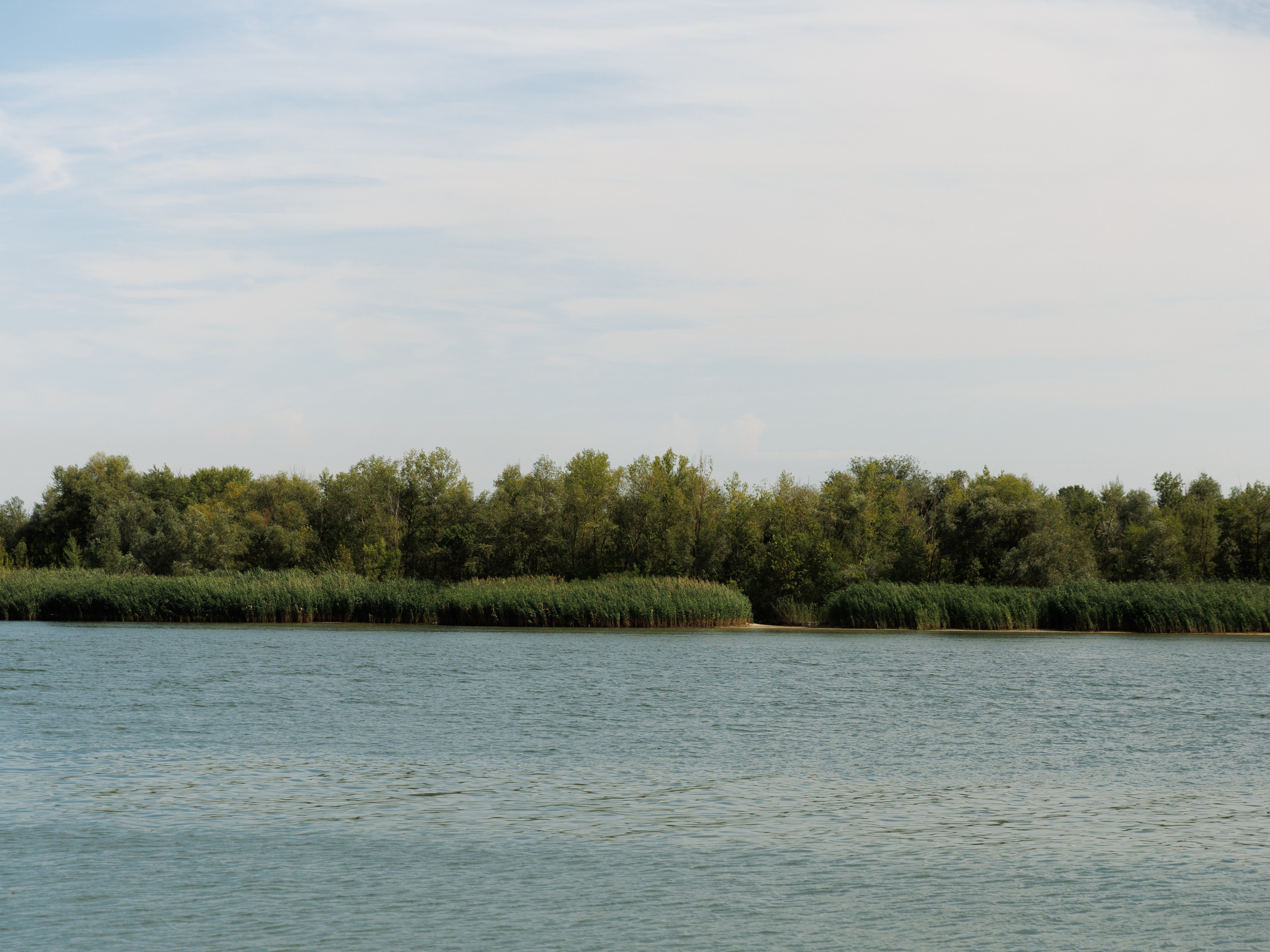 Артем и Анастасия. Фотограф