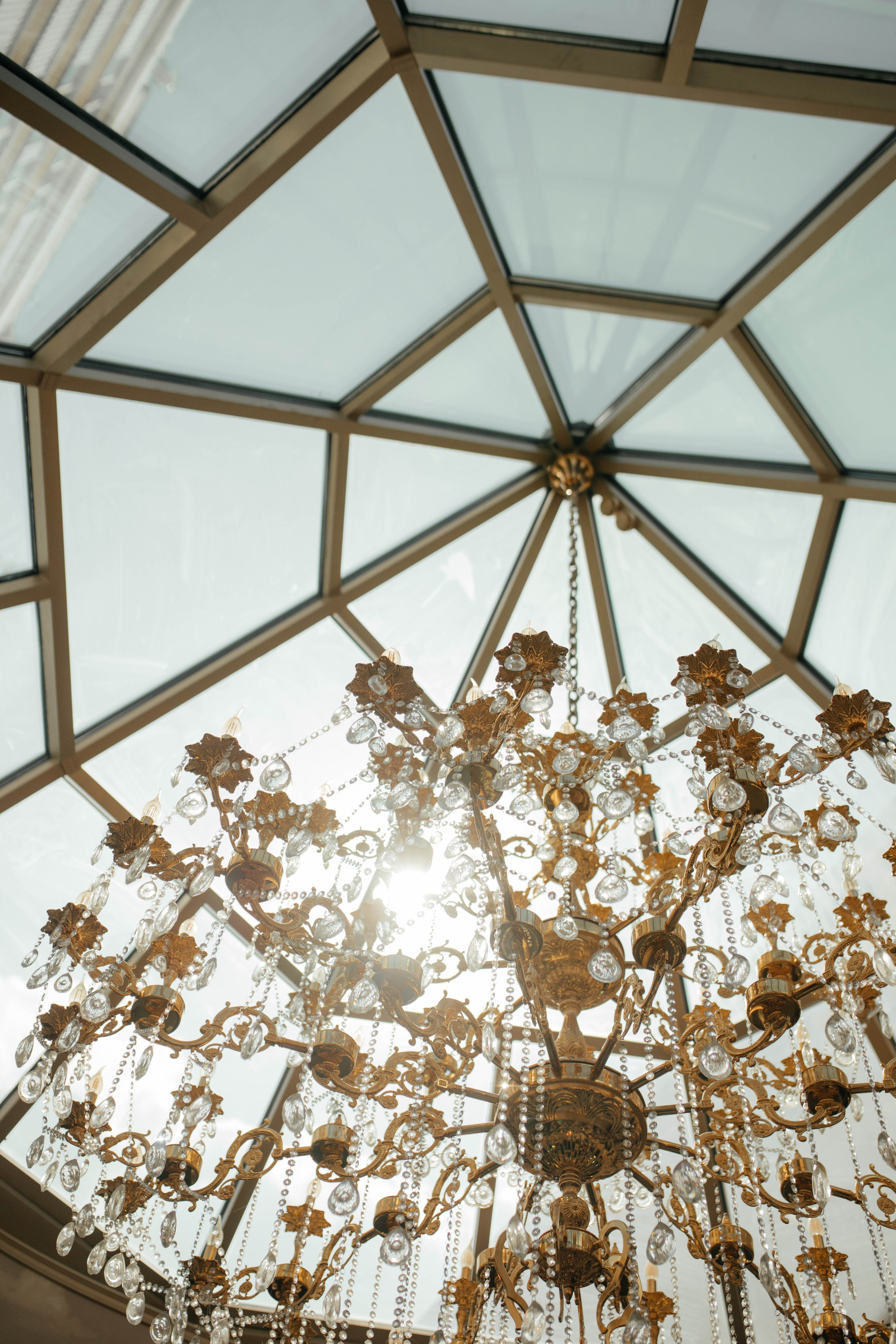 Антон и Белек. Фотограф Барнаул Полина Теплова