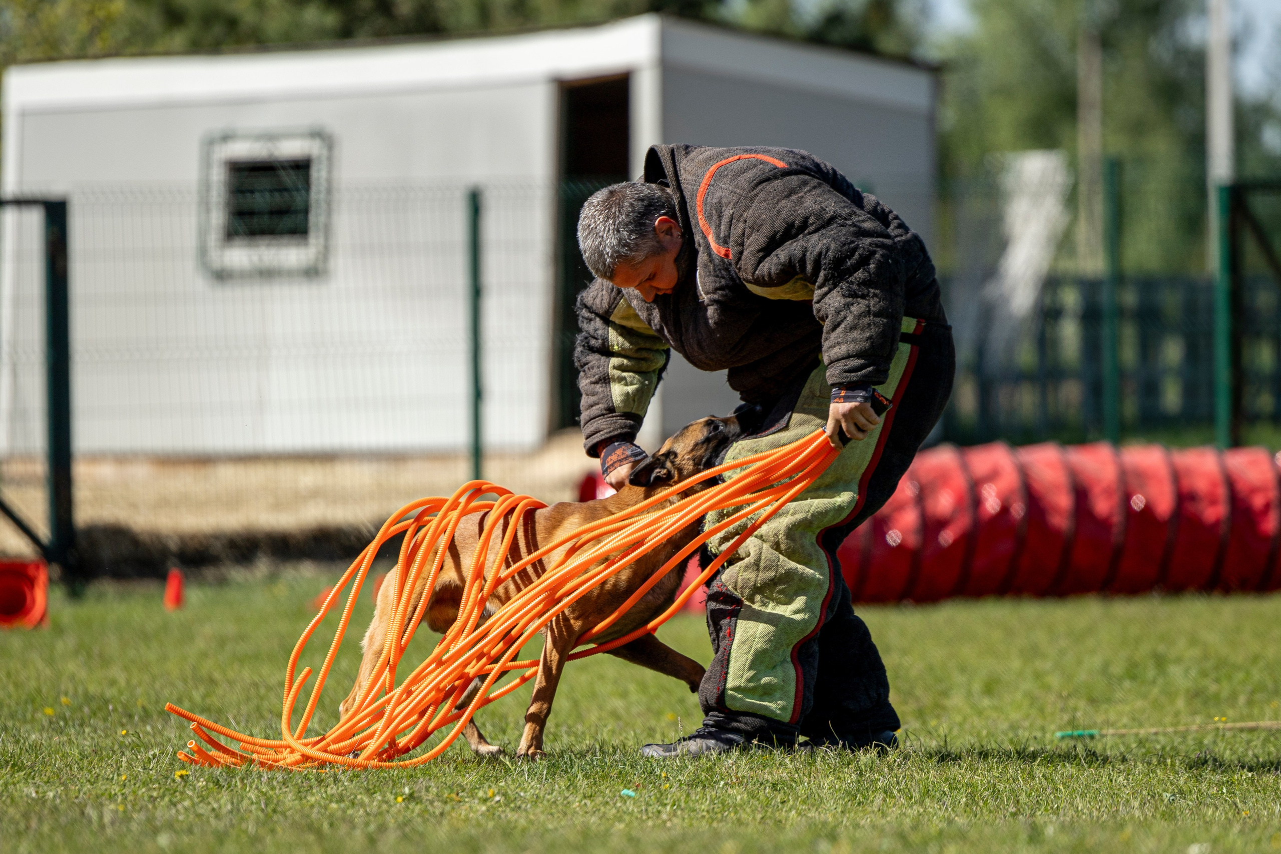 Испытания по мондьорингу в Нижнем Новгороде. Фотограф-анималист Анна Маринич