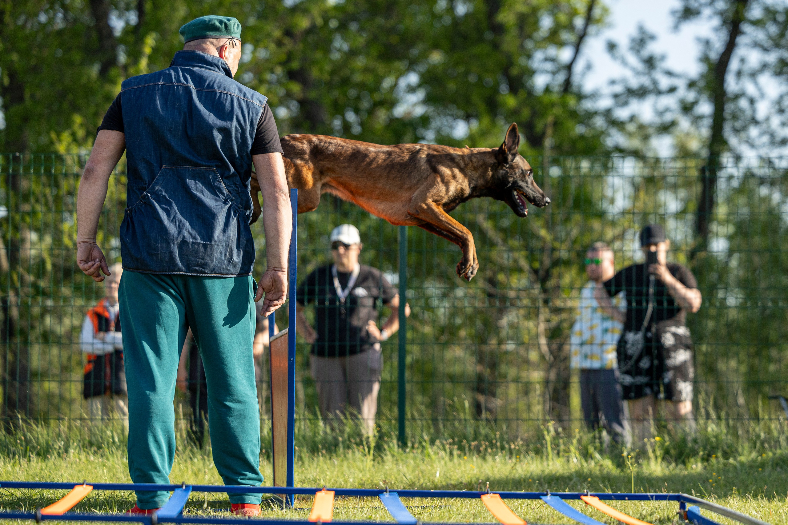 Испытания по мондьорингу в Нижнем Новгороде. Фотограф-анималист Анна Маринич