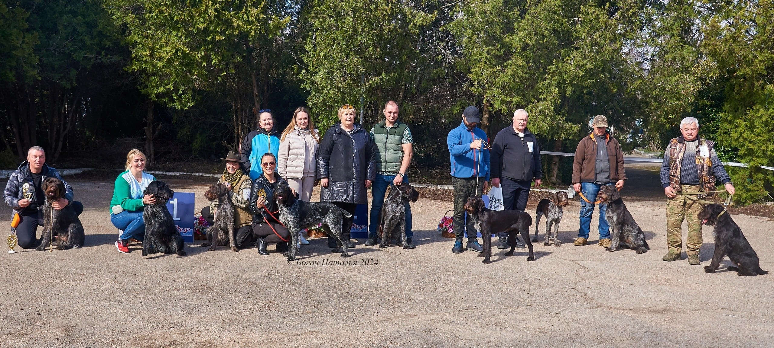 Выставки. Главная