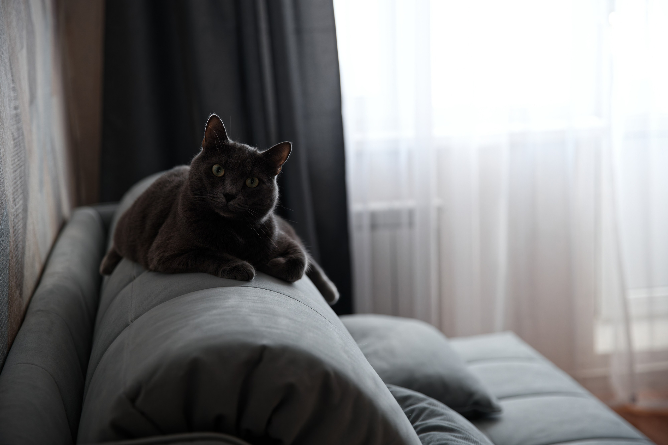 Семья Гуторовых. Семейный фотограф — Макс Белогрудов