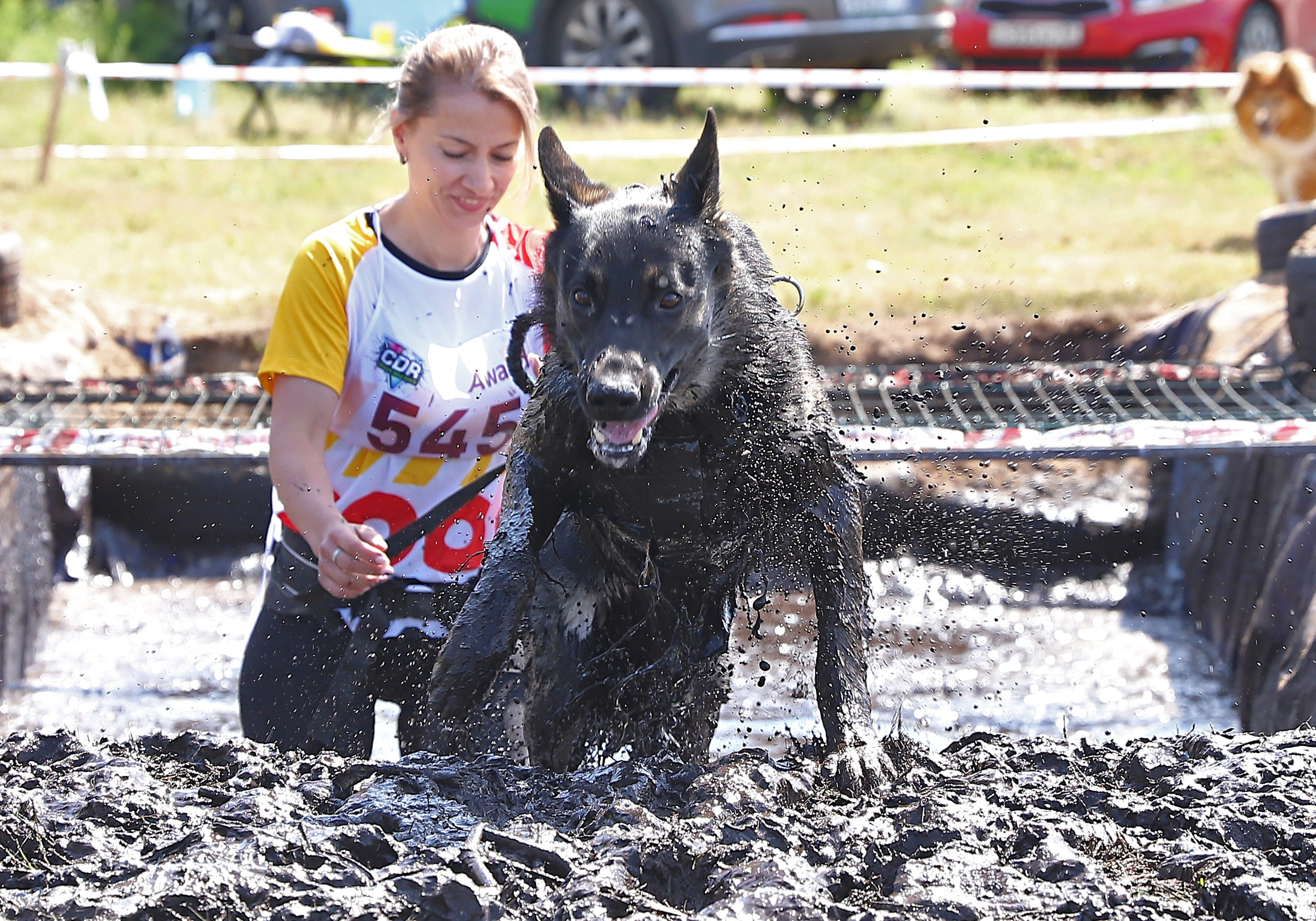 Хвостатый драйв. Семейный и детский фотограф в Москве и МО Елена Москвичева