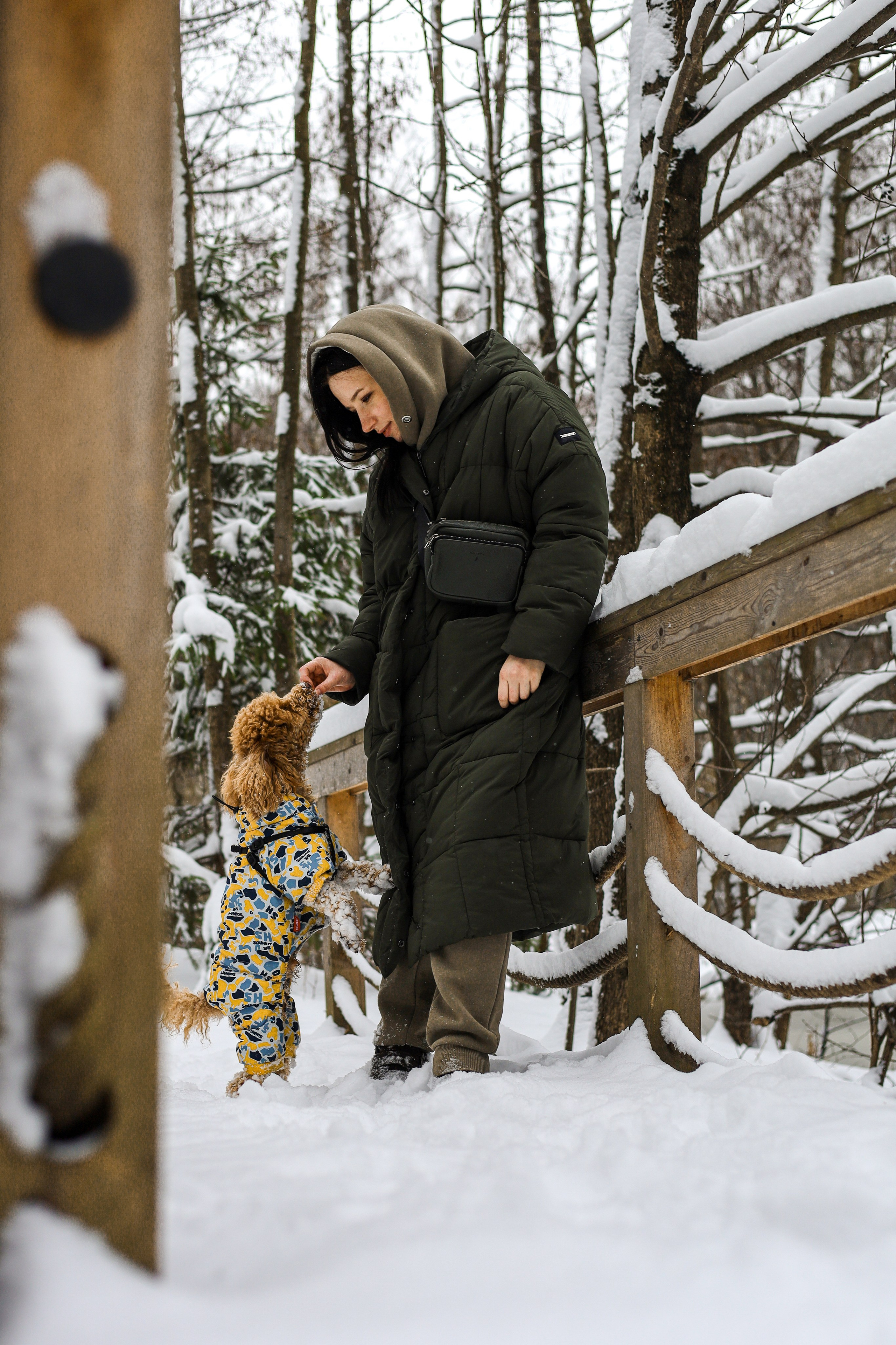 Муд и Леся. Фотограф-анималист Ксения Шевцова|Москва