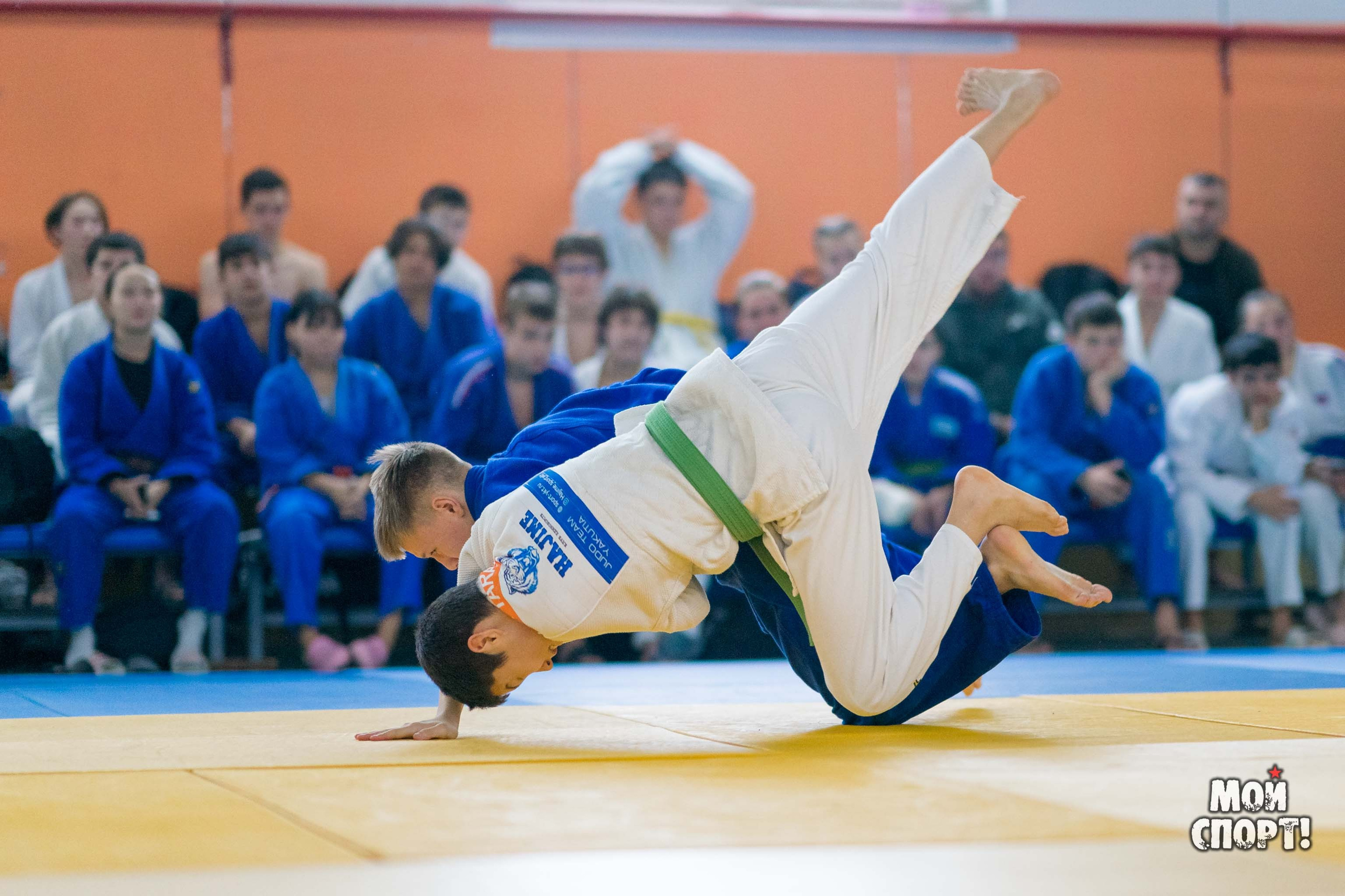 Кубок и первенство РС (Я) по дзюдо. Студия «Мой Спорт!» — все о спорте в Якутии