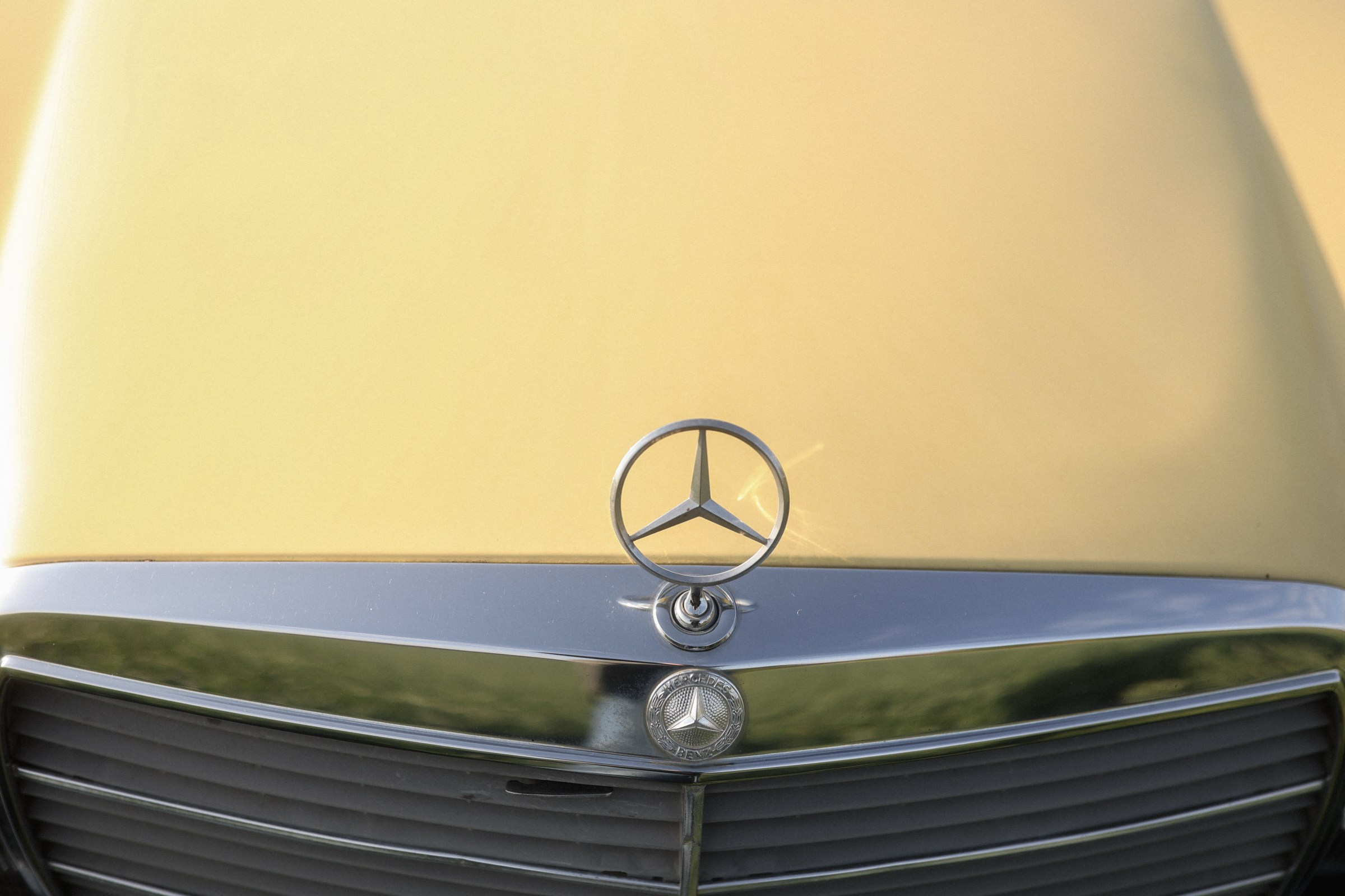 В поле. Фотограф в Севастополе и Крыму Артем Волобуев