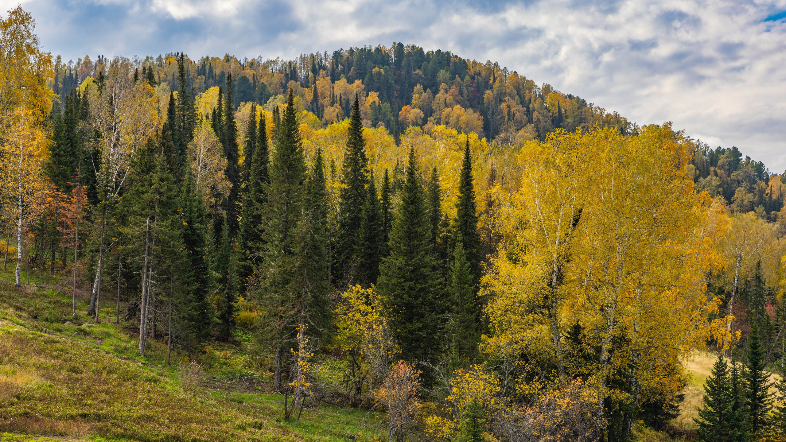2025 09 Алтай. Чуйский тракт. Фотографии