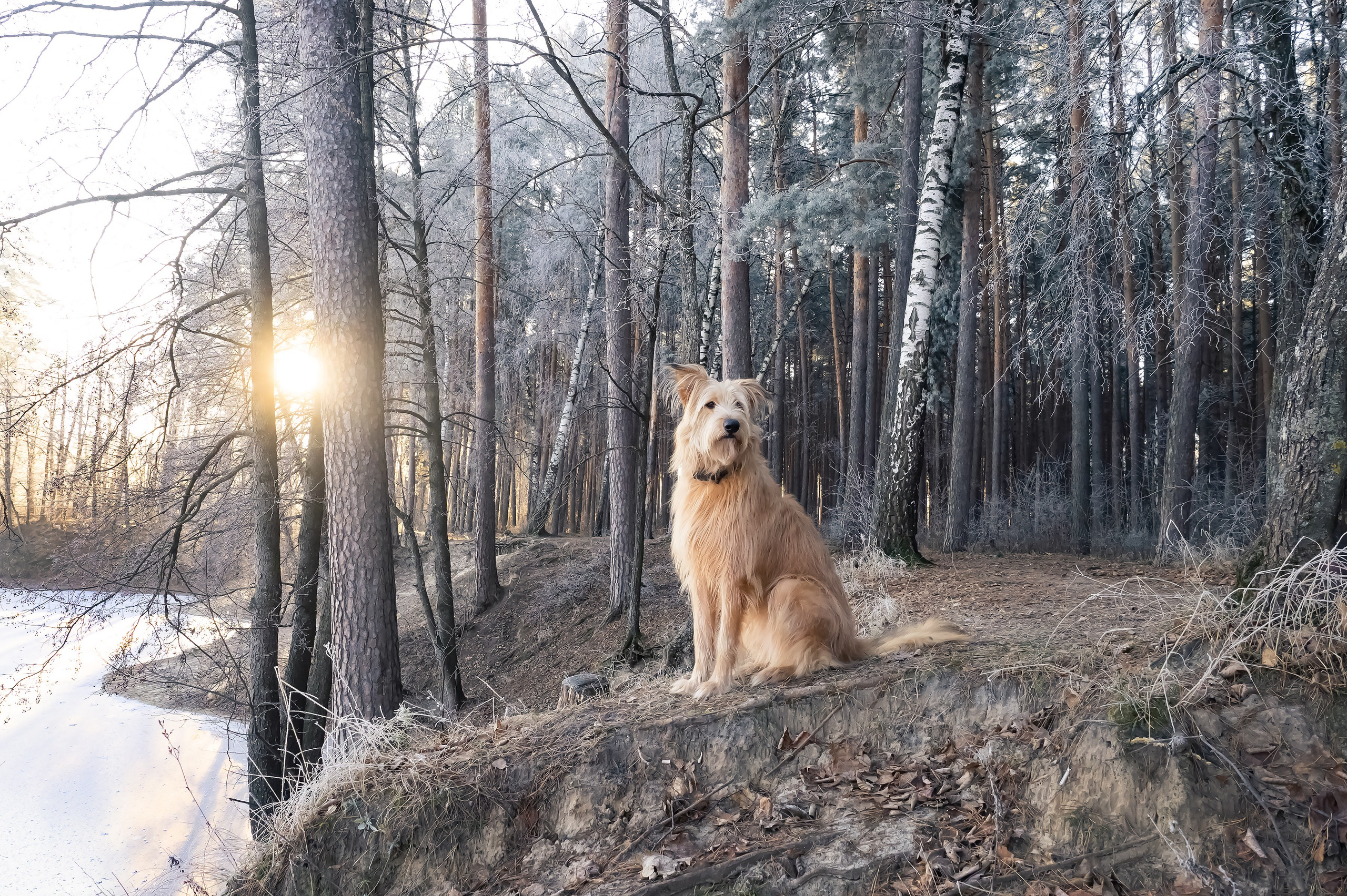 Красота Заречного. Репортажный, семейный и детский фотограф в Пензе и Заречном Арина Ермилова. Картины барельеф на заказ