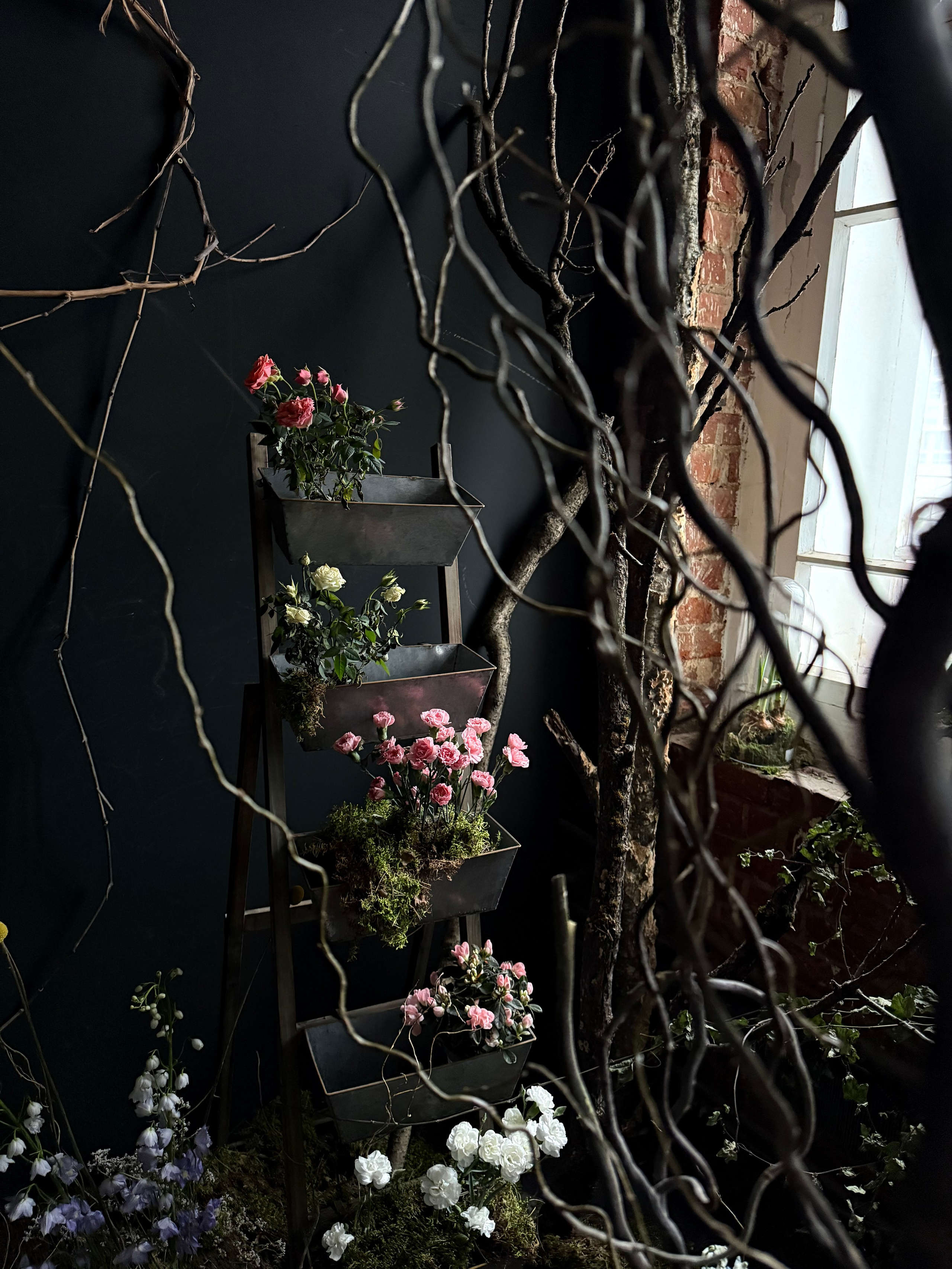 Фотостудия МОХ зал Тьма. Фотограф Настя Лев