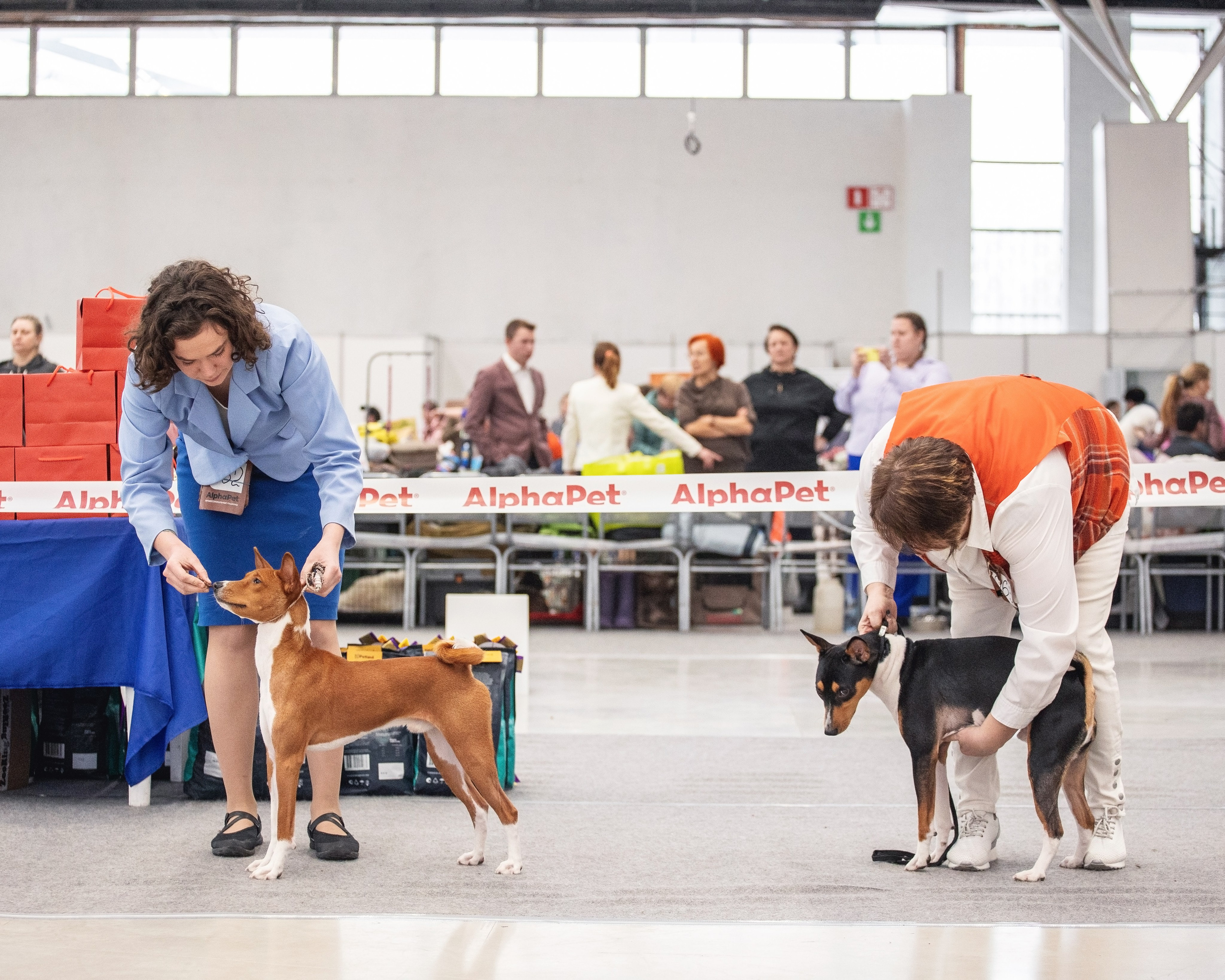 20.01. 2024 Тюмень. YULA KOLESOVA | Фотограф — Анималист | Художник | Тюмень