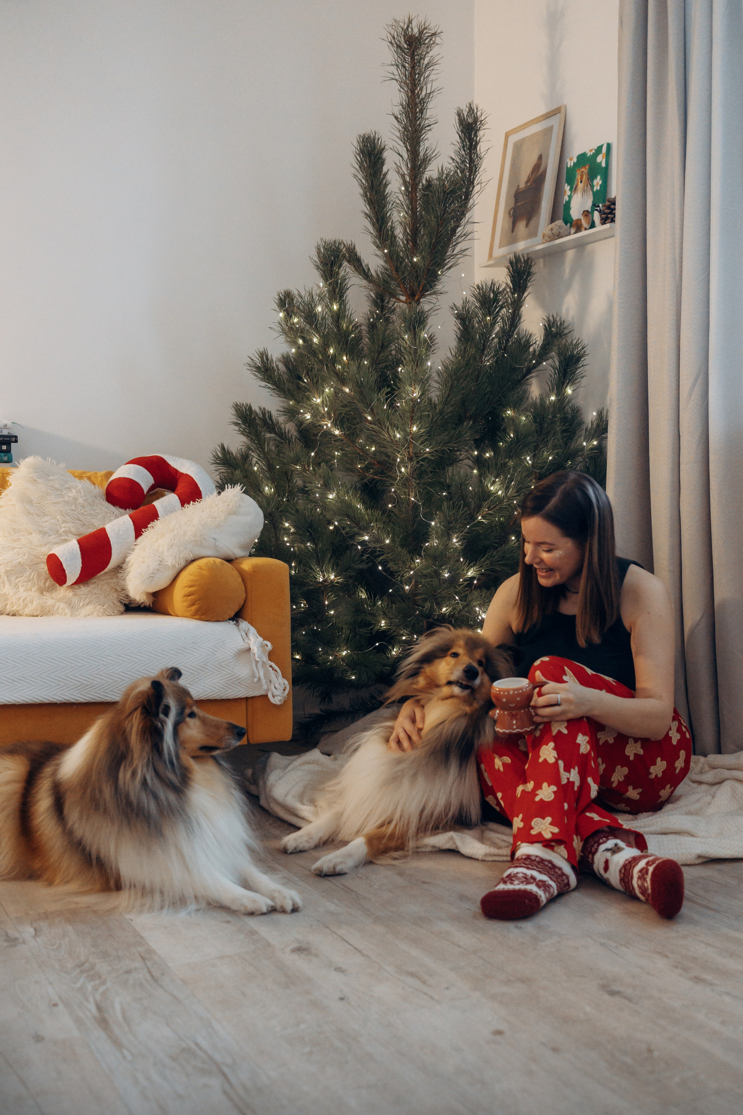 Юлиана, Элли и Райан. YULA KOLESOVA | Фотограф — Анималист | Художник | Тюмень