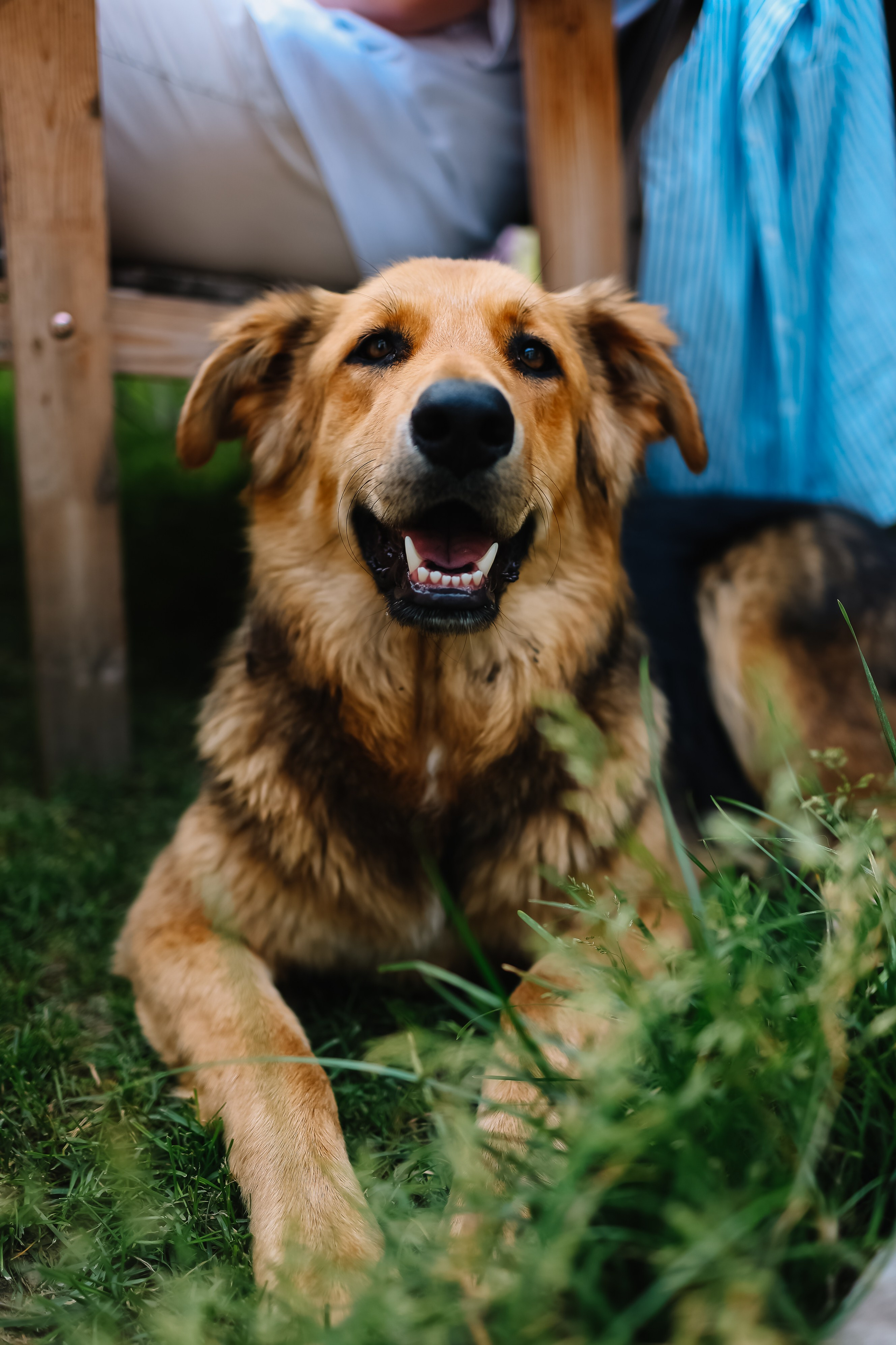 алёна малахова фотограф новосибирск семейный детский домашняя фотосессия в новосибирске день рождения репортажная съёмка фотосессия с лошадьми на конюшне деревня алтай  на природе фотосессия в детском саду мама и сын предложение руки и сердца идея  помолвка фотосессия берег закат детский день рождения годик торт аниматор лофт игровая продолжение следует prodoljenie_sleduet_  корпоратив тимбилдинг