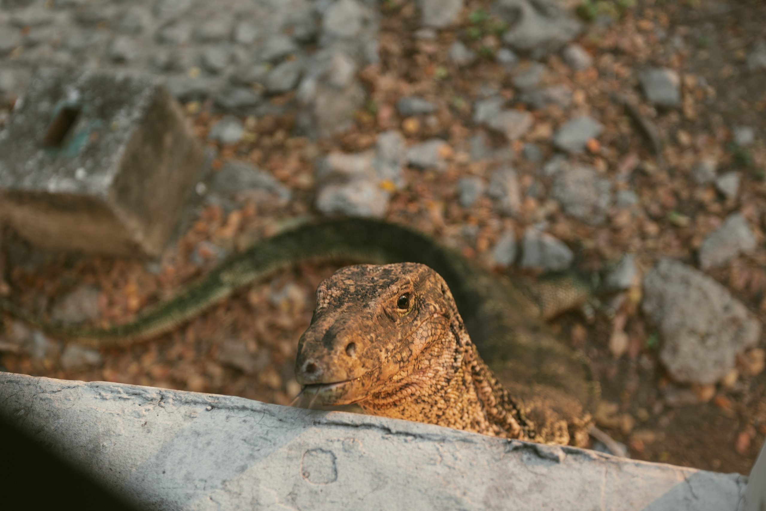 Bangkok. Фотограф Сонкина Татьяна