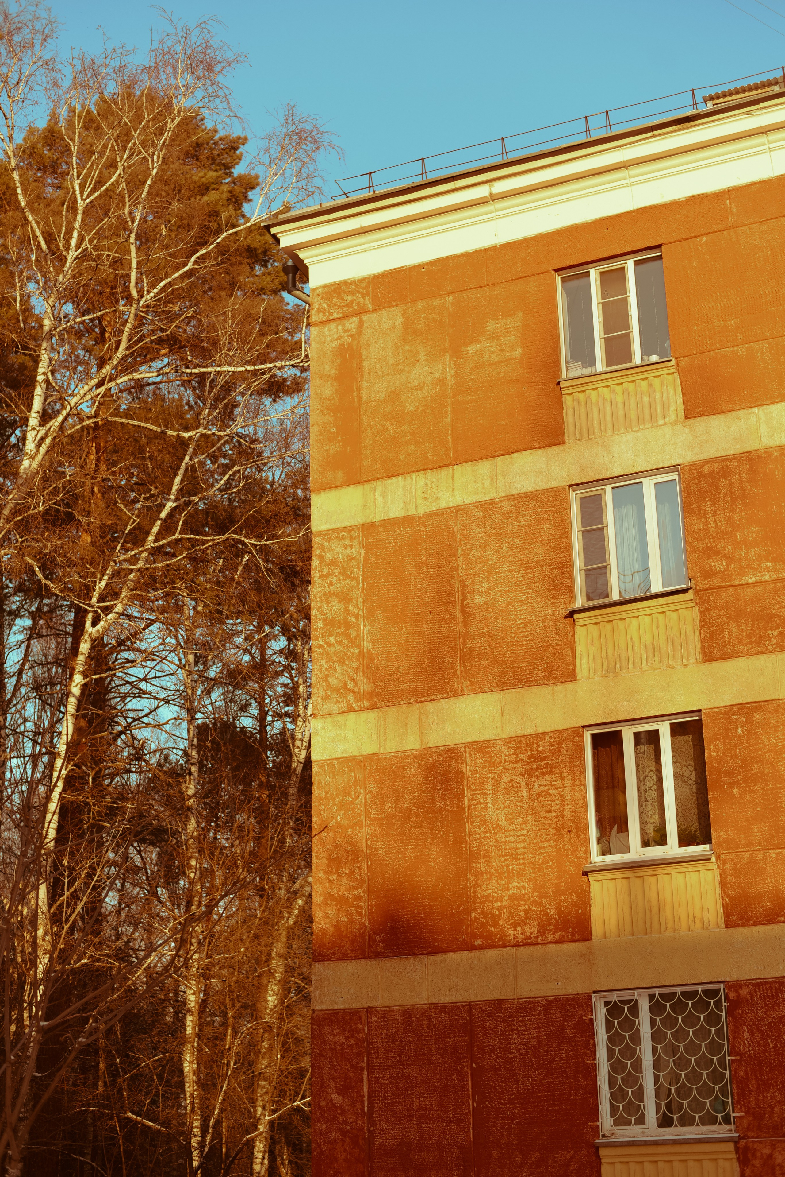 Алина и дом-музей. Детский и семейный фотограф в Новосибирске Саша Дорошенко