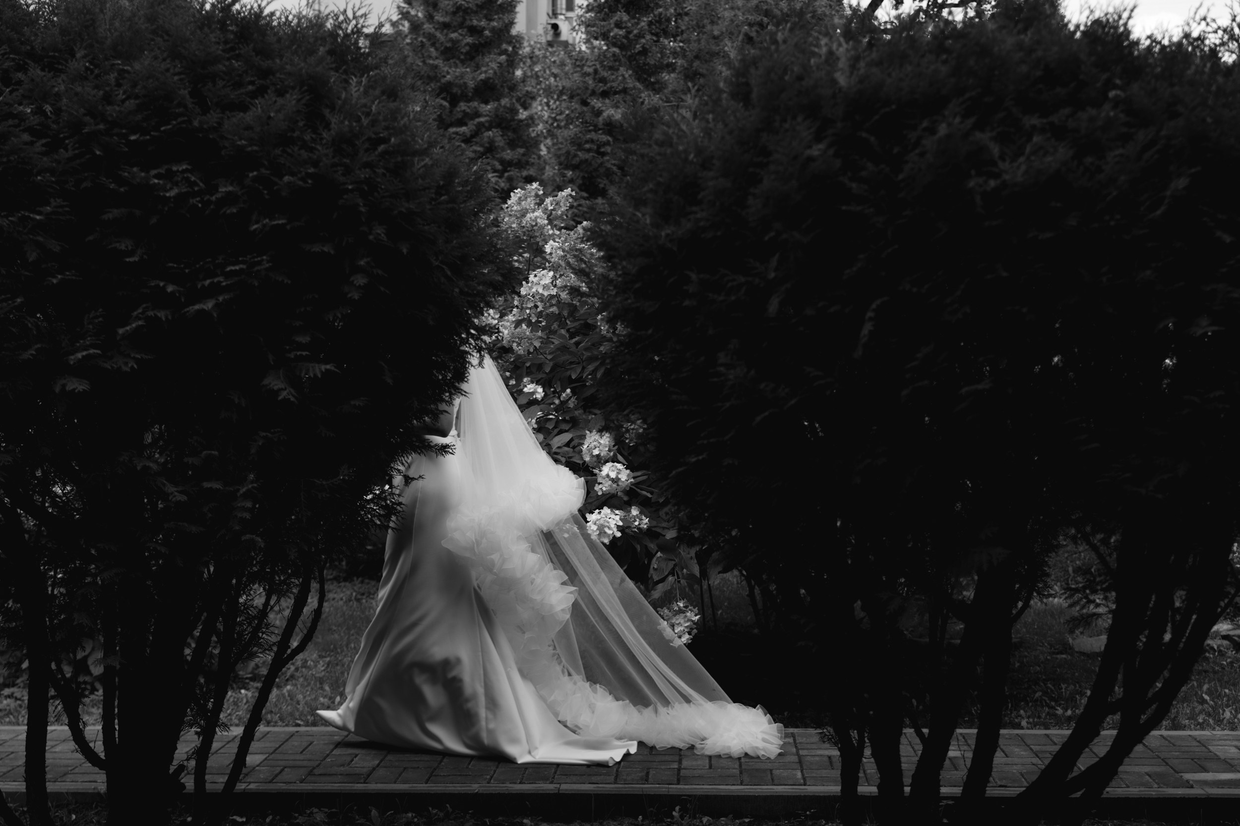 Георгий и Катя 2024. Свадебный фотограф в Москве, Ярославле Виталий Квант