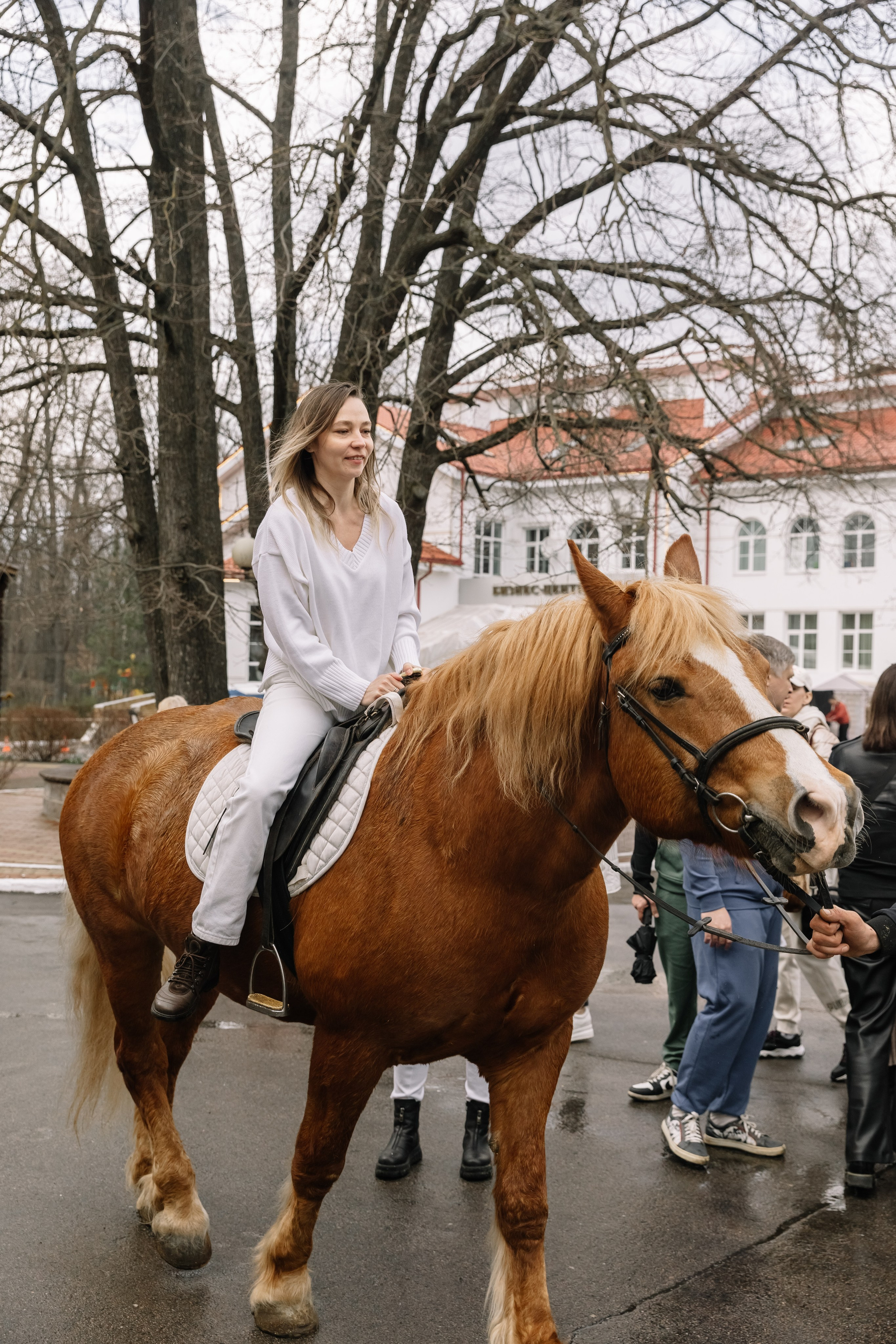 День Орловского рысака. Парк-отель Яр. Свадебный, репортажный фотограф Ирина Шкурина
