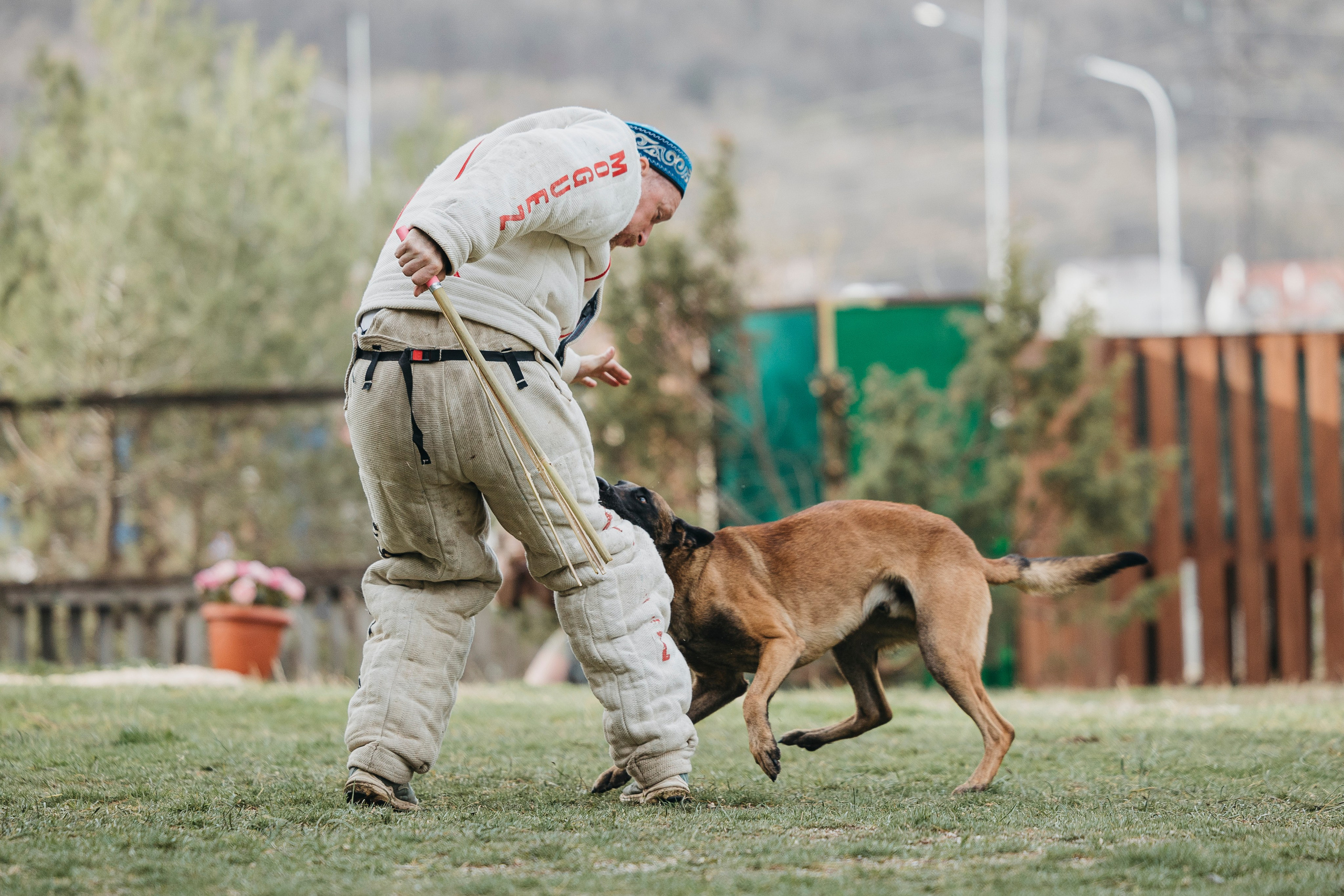 Геленджик Мондьоринг. Фотограф-анималист Анна Маринич