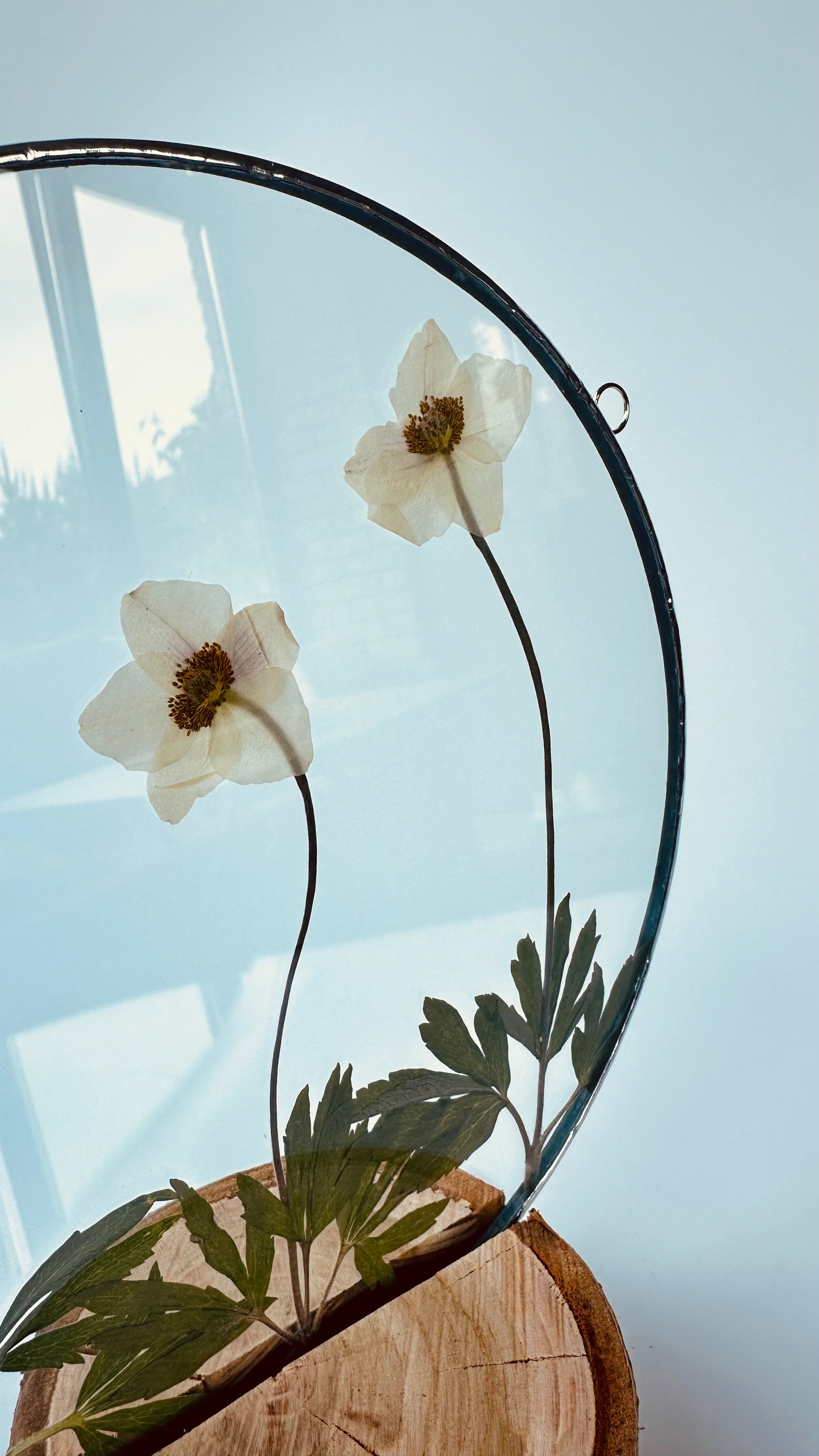 Засушенные цветы в стекле витраж техника тиффани. Гербарий в стекле, интерьерные панно, витражи с сухоцветами в технике тиффани