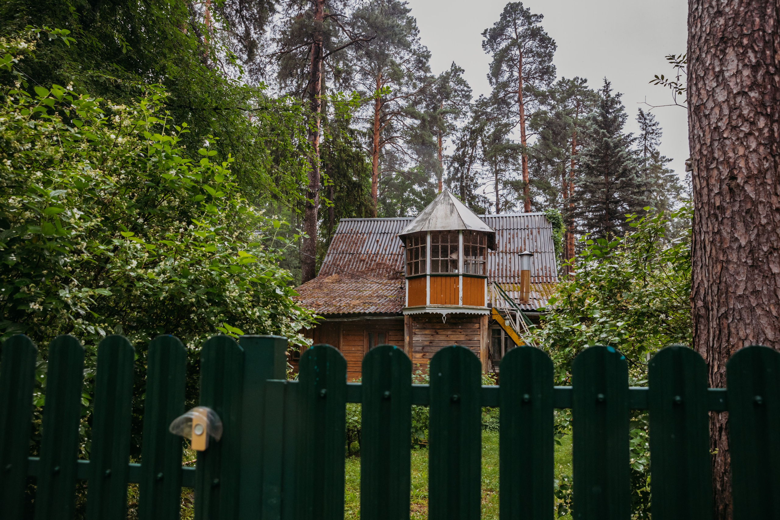 Родные люди «На дачу к Дмитрию Абрикосову». Леся Гаранина. Семейный фотограф/видеограф Москва и область