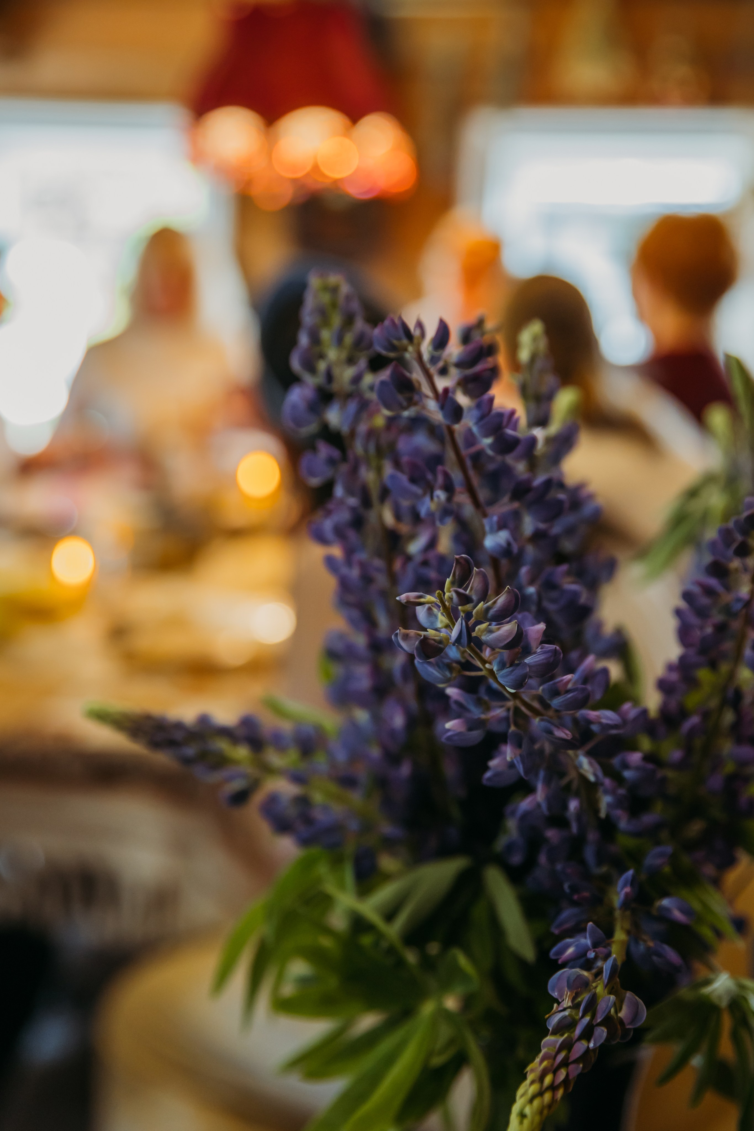 Родные люди «Мандроги». Леся Гаранина. Семейный фотограф/видеограф Москва и область