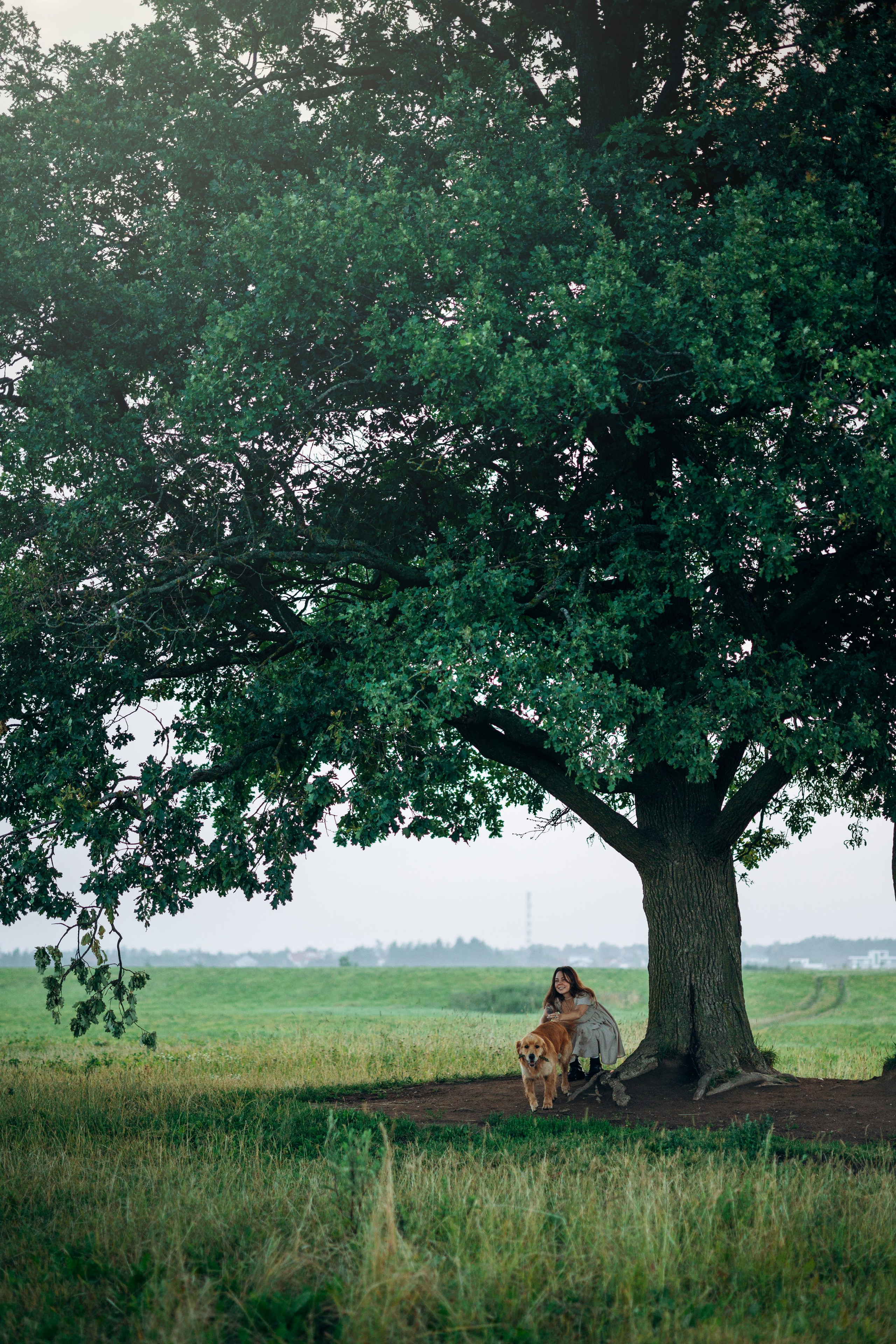 Аня и Ноллан. Фотограф — Анималист | Санкт-Петербург